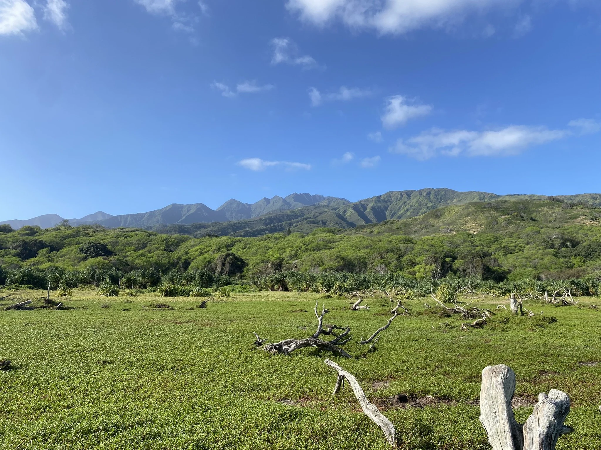 LAND TRUST ALLIANCE: Featured Land Trust