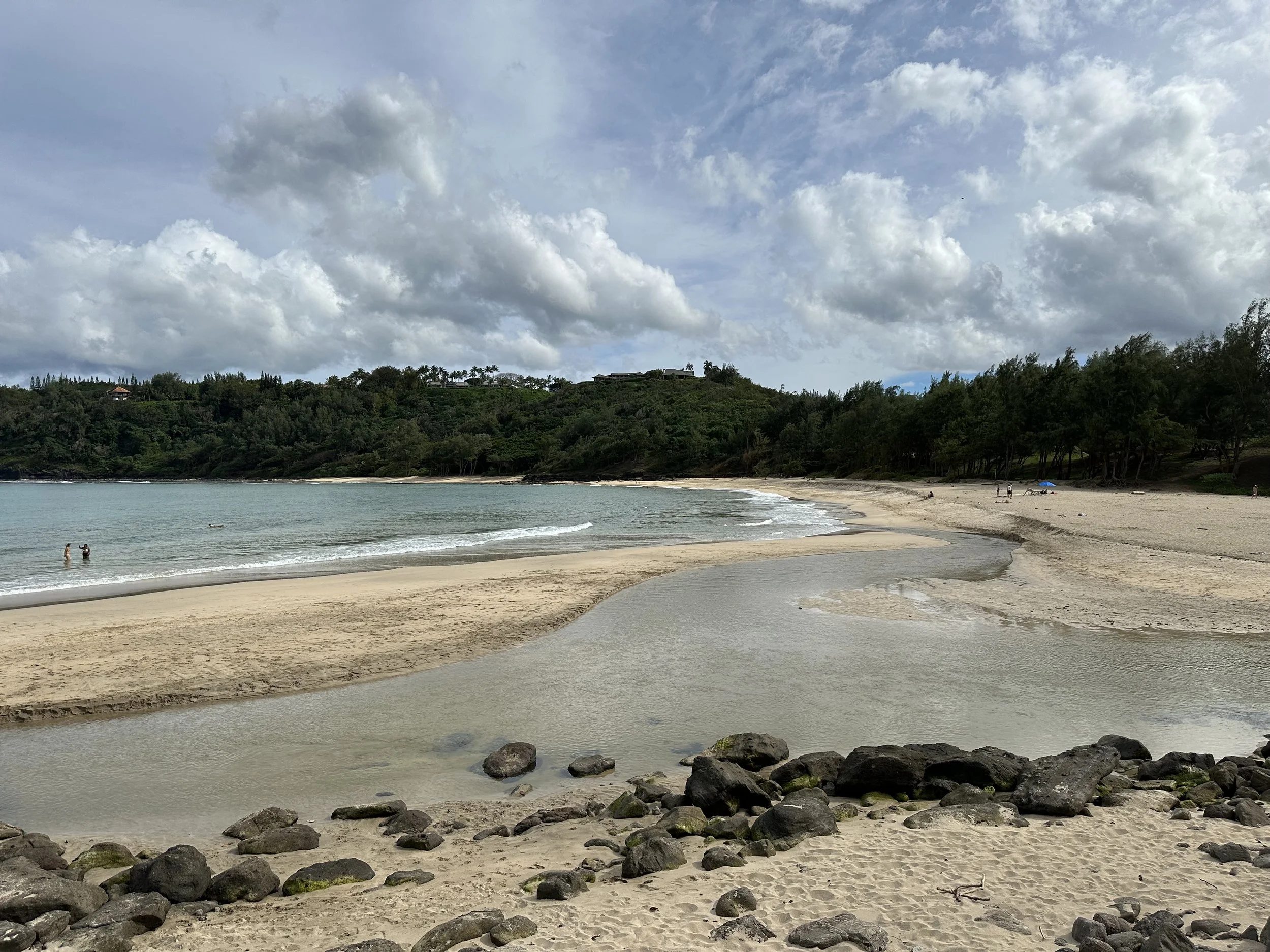 KAUAI NOW: Writing the Land: Windblown II’ features work of renowned Hawai‘i poets