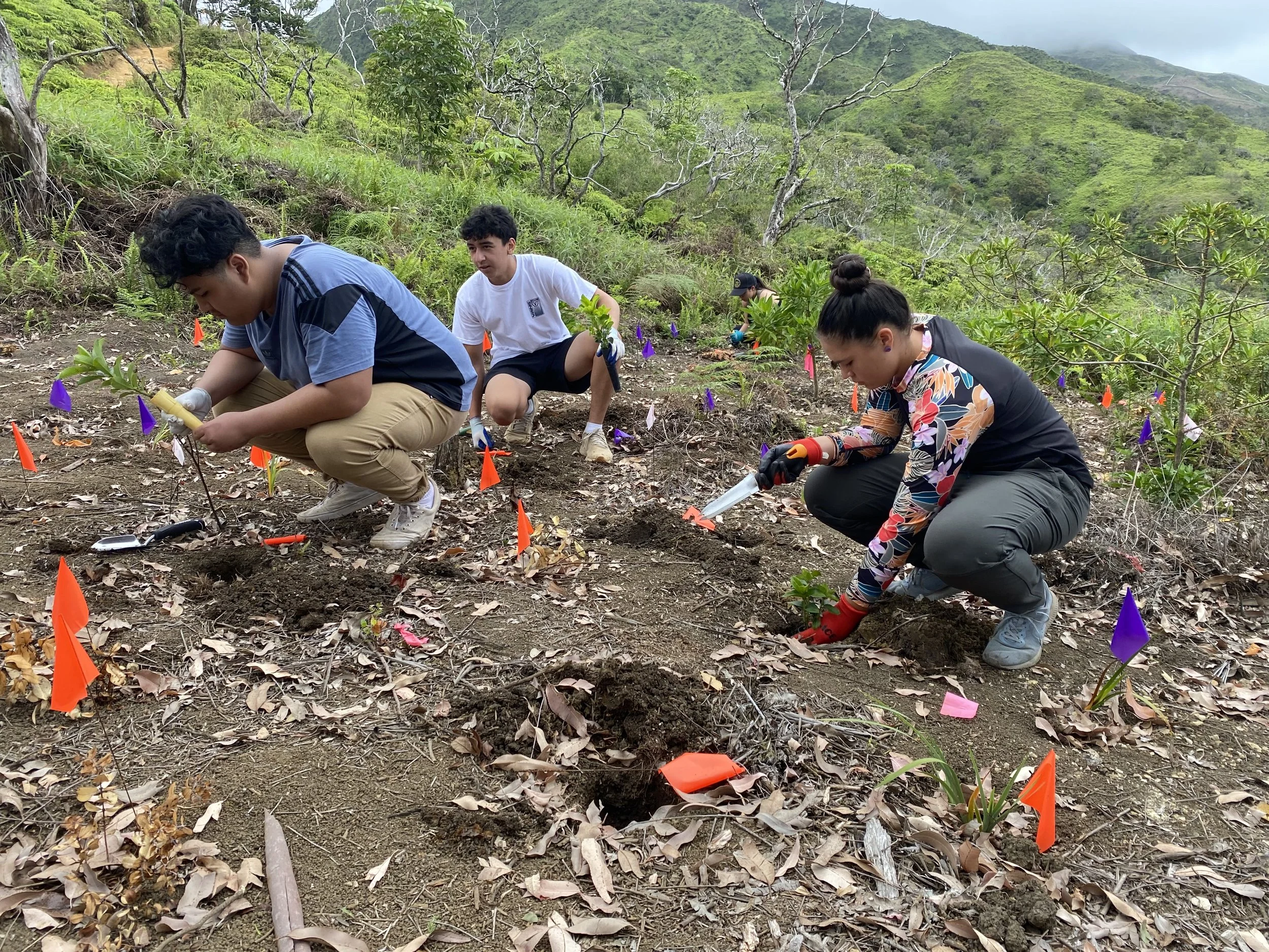 KA WAI OLA NEWS: Maui Employment Opportunities with HILT