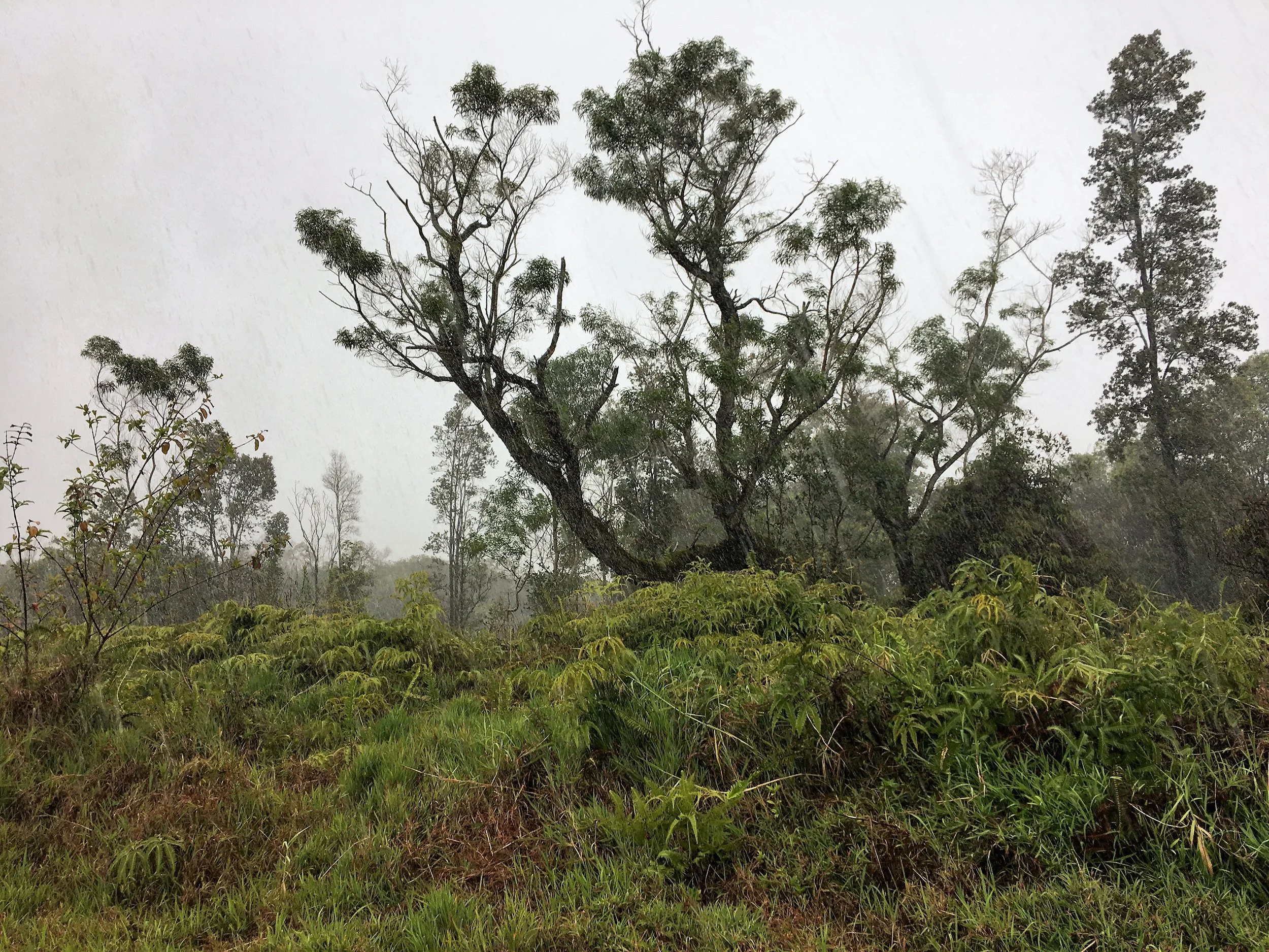 KWXX: Senate Passes Bipartisan Spending Package That Includes $285m In Directed Spending For Hawaii