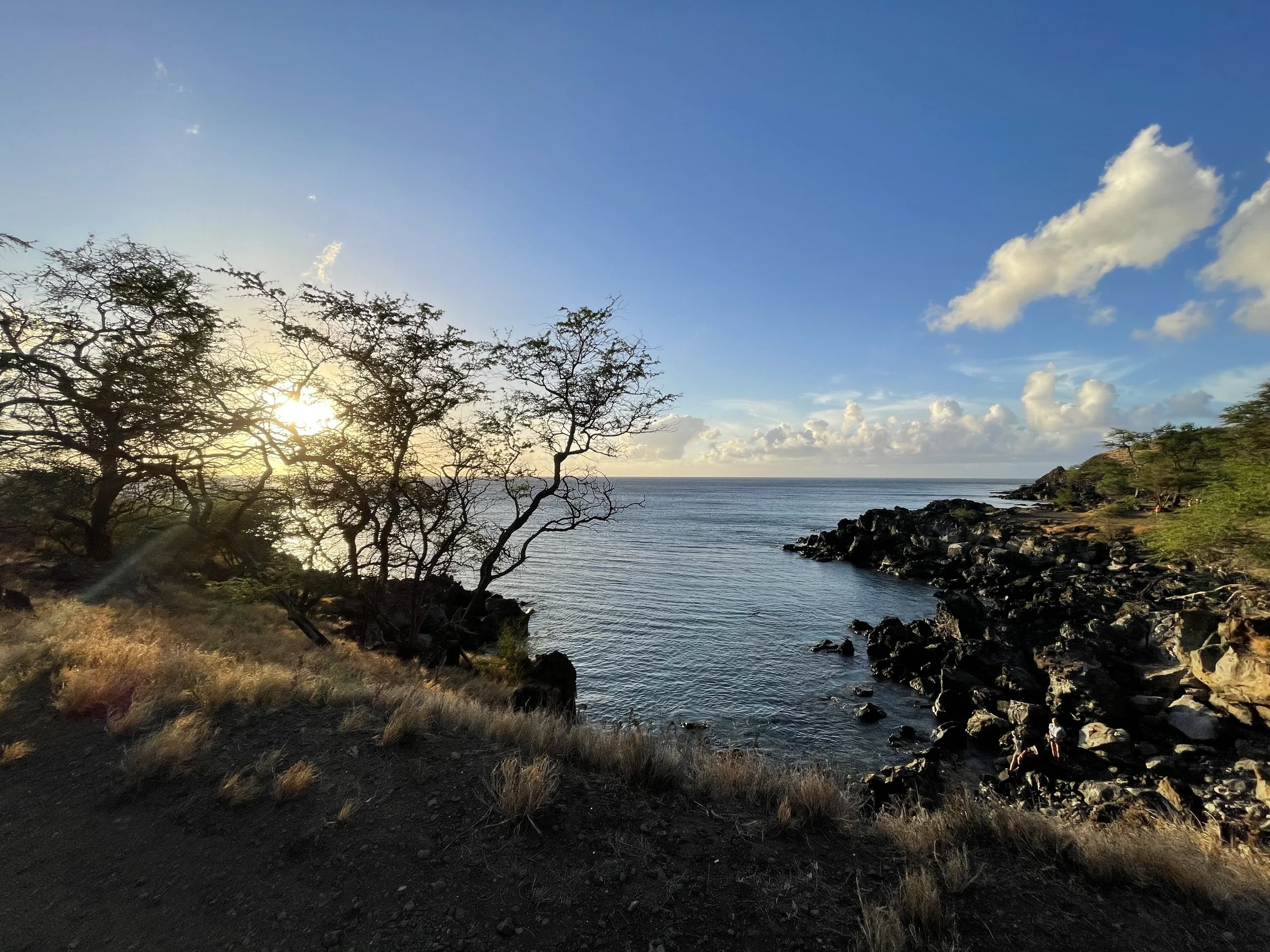 BIG ISLAND NOW: HILT nearing finish line to purchase 642 acres in Mahukona to protect forever