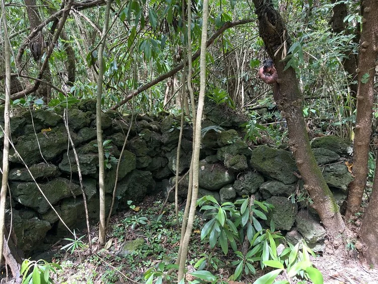 THE MAUI NEWS: Hana nonprofit acquires more land in mission of preserving East Maui coast