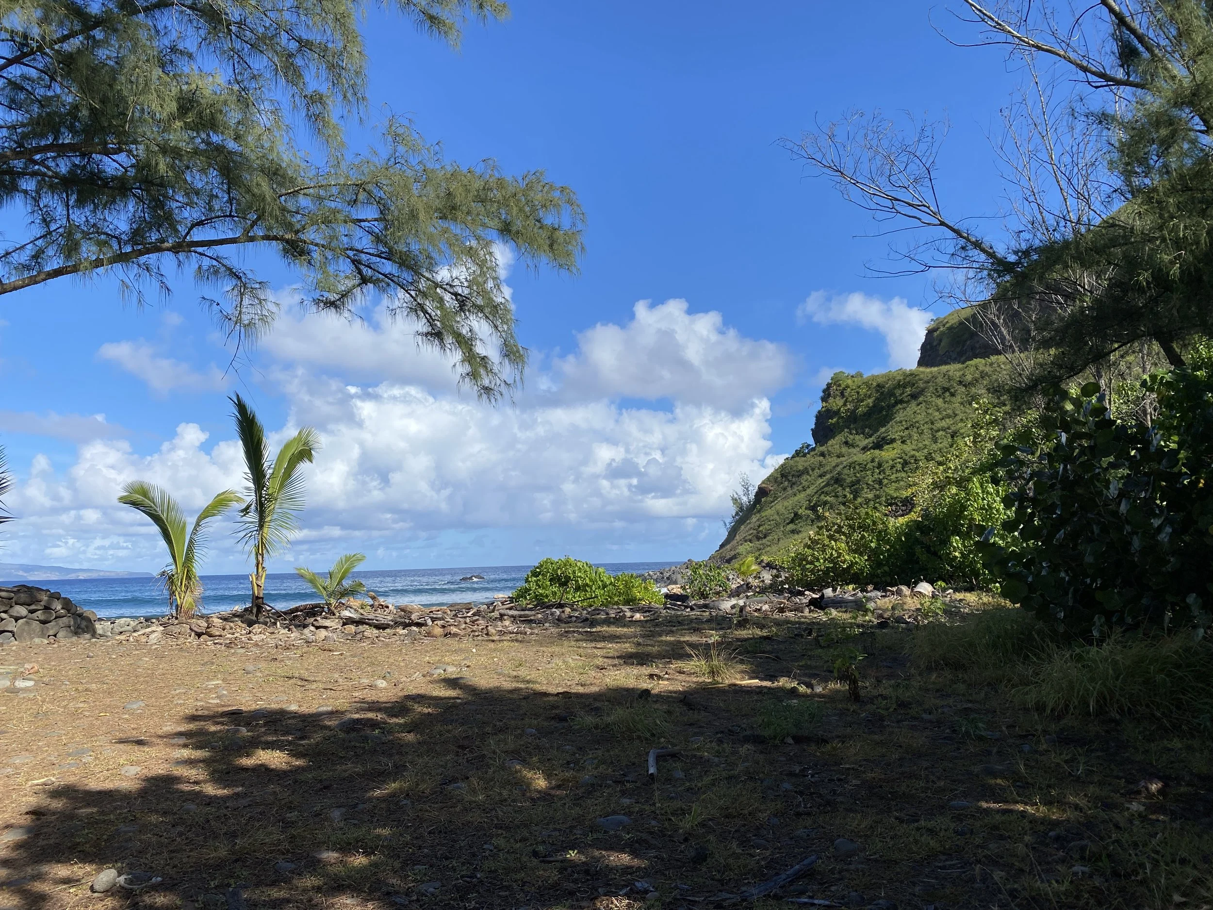 THE MAUI NEWS: Parcel on Honokōhau Bay purchased