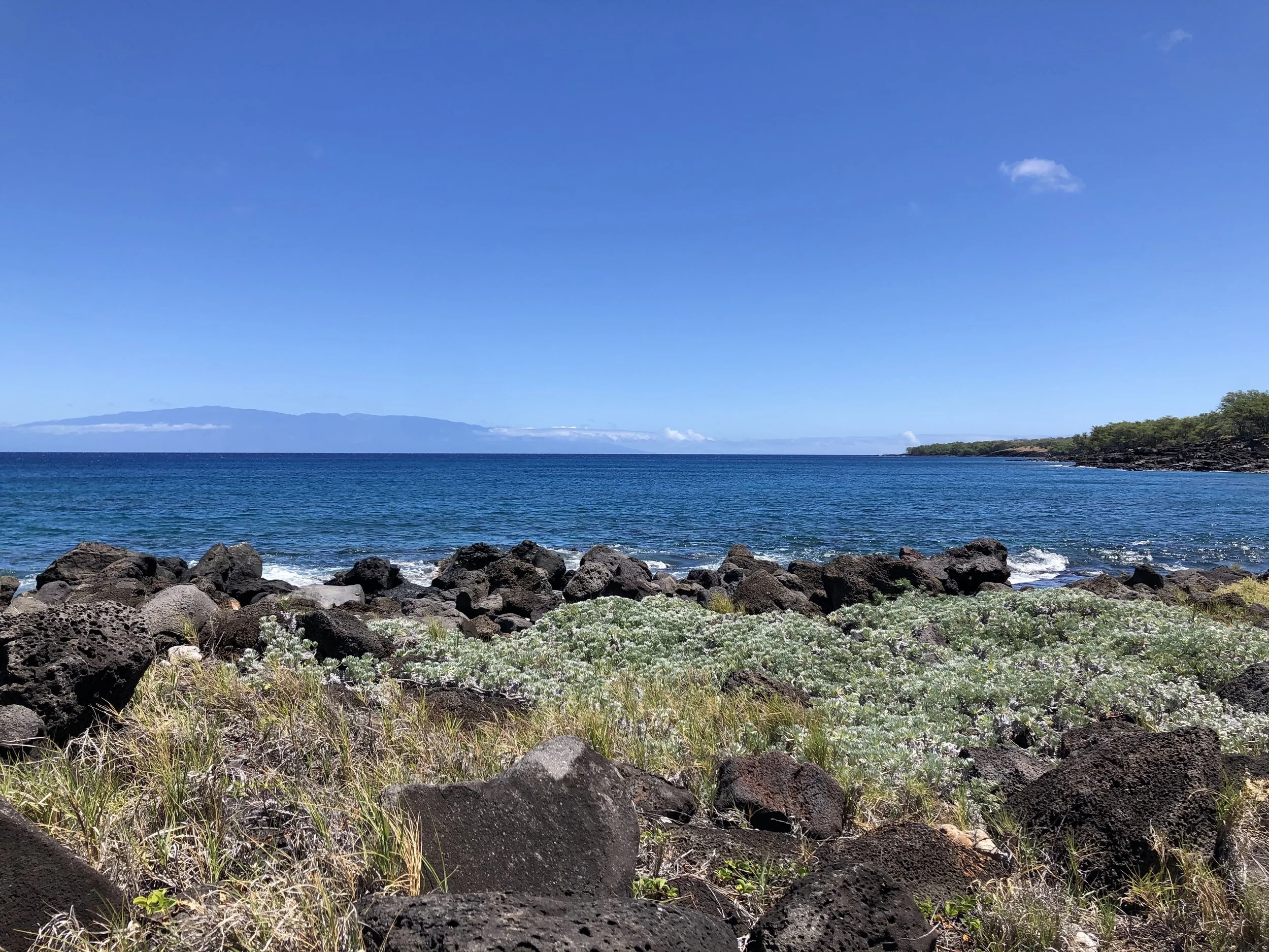 HONOLULU STAR ADVERTISER: Hawaii Land Trust buys 642 acres at Mahukona