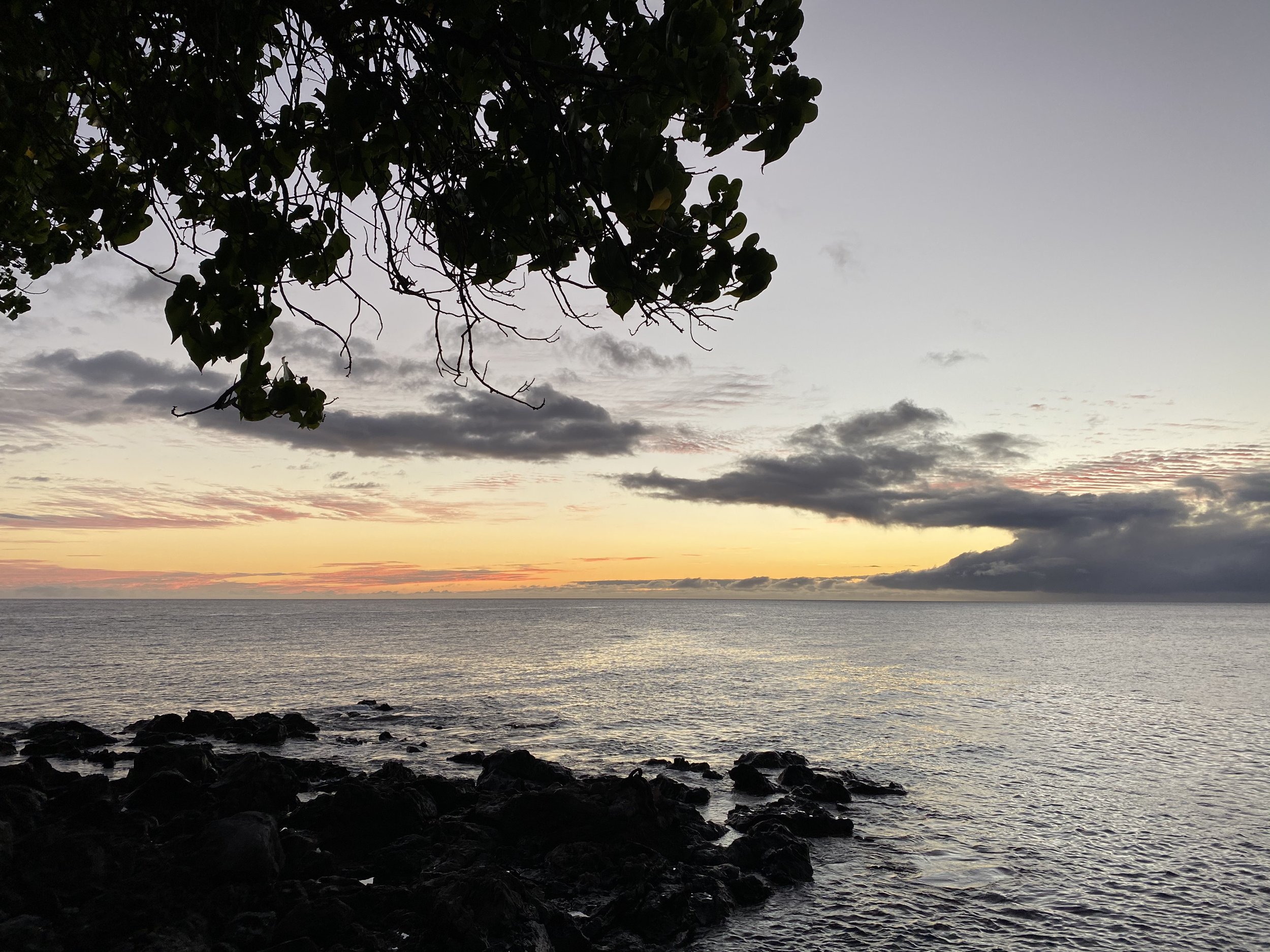 KITV: 642-acres at Big Island's Mahukona forever protected in collaborative effort