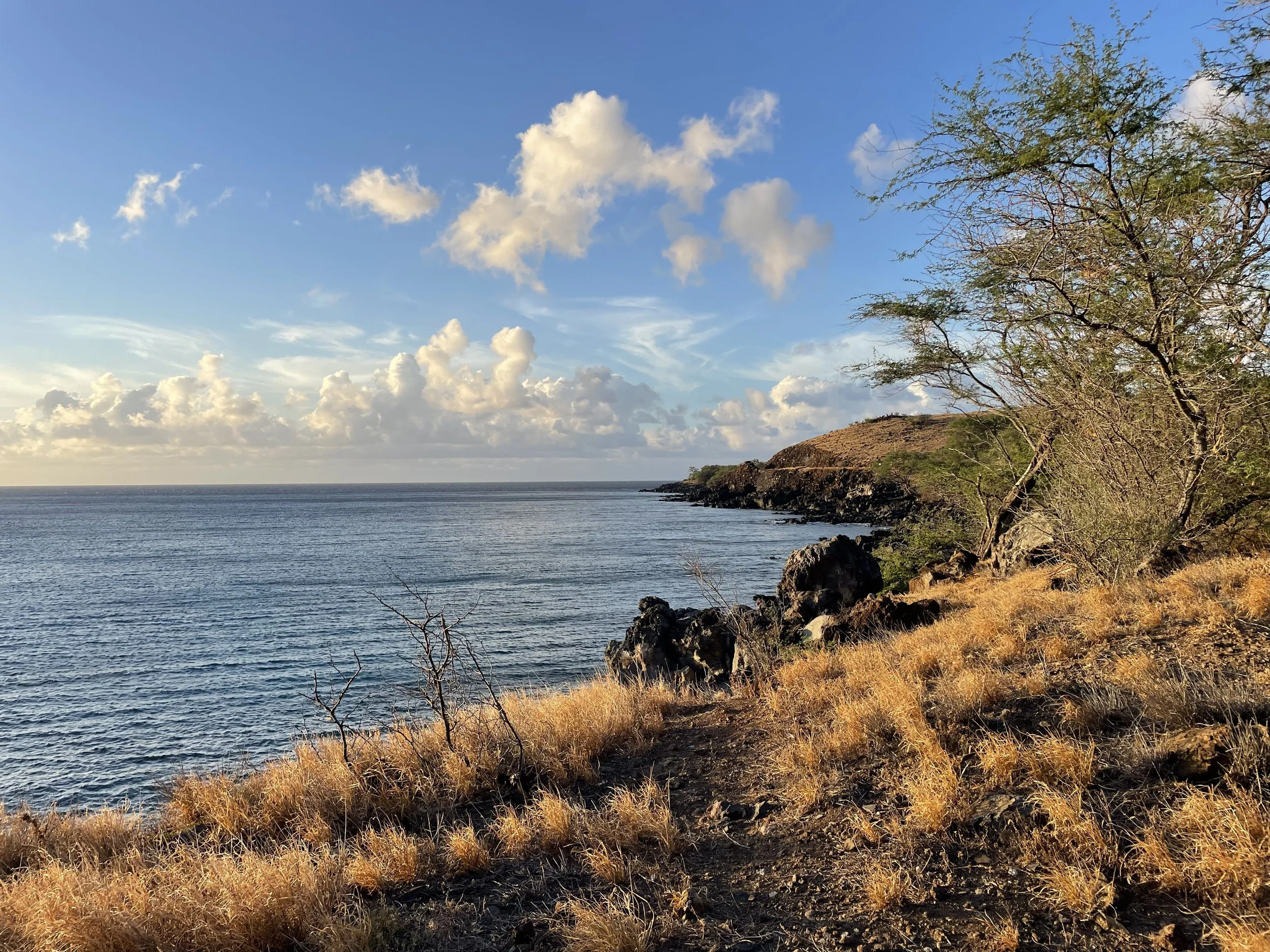 BIG ISLAND NOW: HILT purchases 642 acres at Mahukona, forever protecting important cultural site