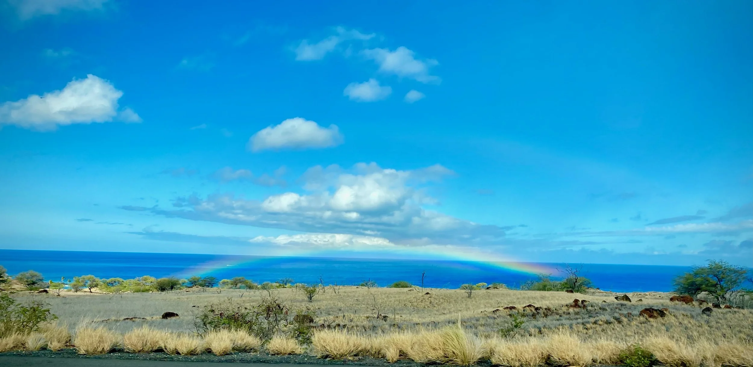 KOHALA MOUNTAIN NEWS: HILT Opens Mahukona Talk Story on the Land Hikes and Volunteer Days