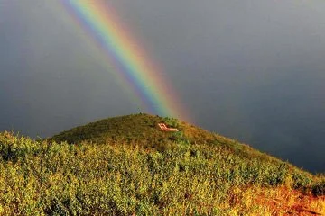 HAWAII TRIBUNE HERALD: Lahaina homes face 20% turnover in 3 years