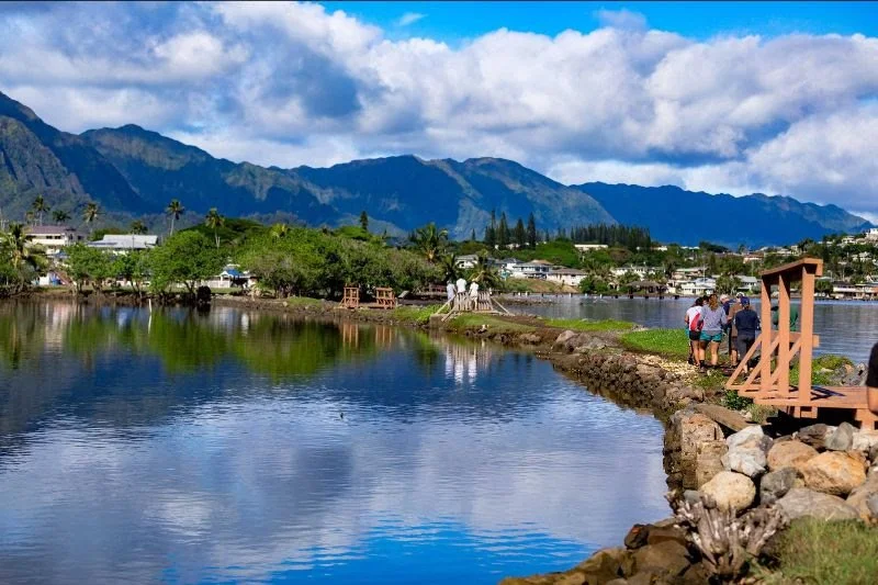 HAWAII BUSINESS MAGAZINE: U.S. Military Works with Local Partners to Protect Hawai‘i’s Natural Environment 