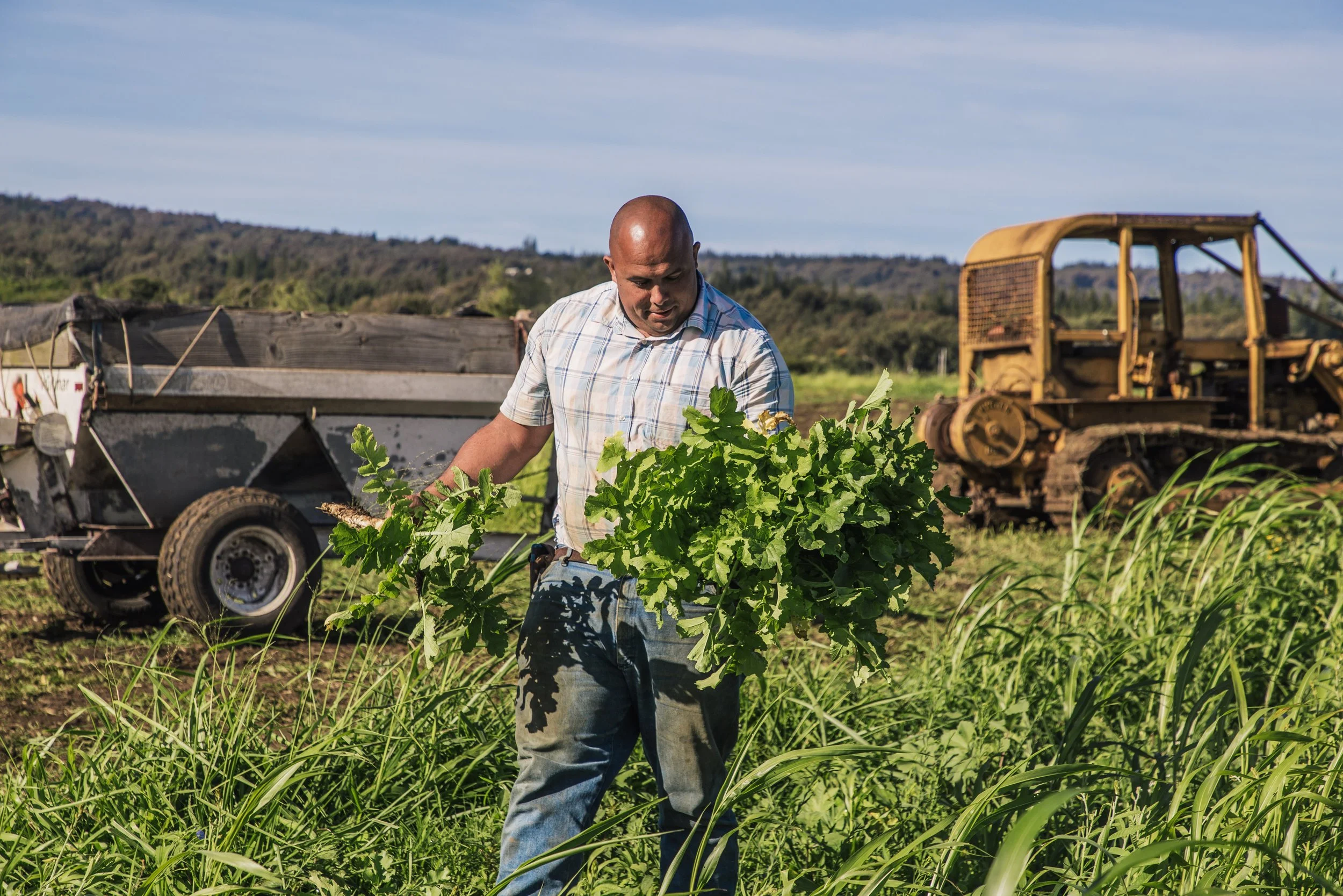 HAWAIʻI PUBLIC RADIO: Nearly 30 acres of Kohala farmland permanently set aside for farmers