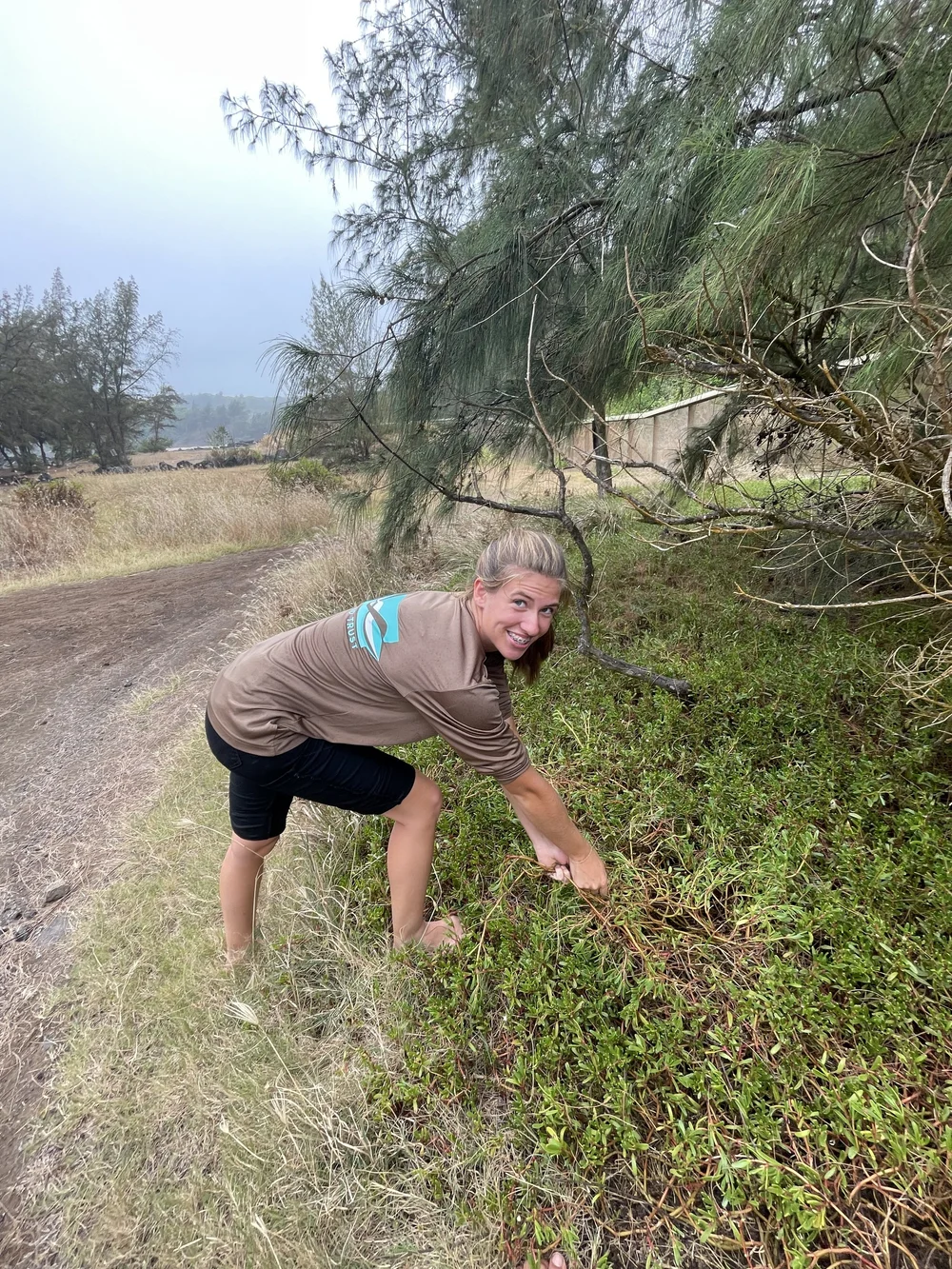 Lilly_Schewchuk.jpg