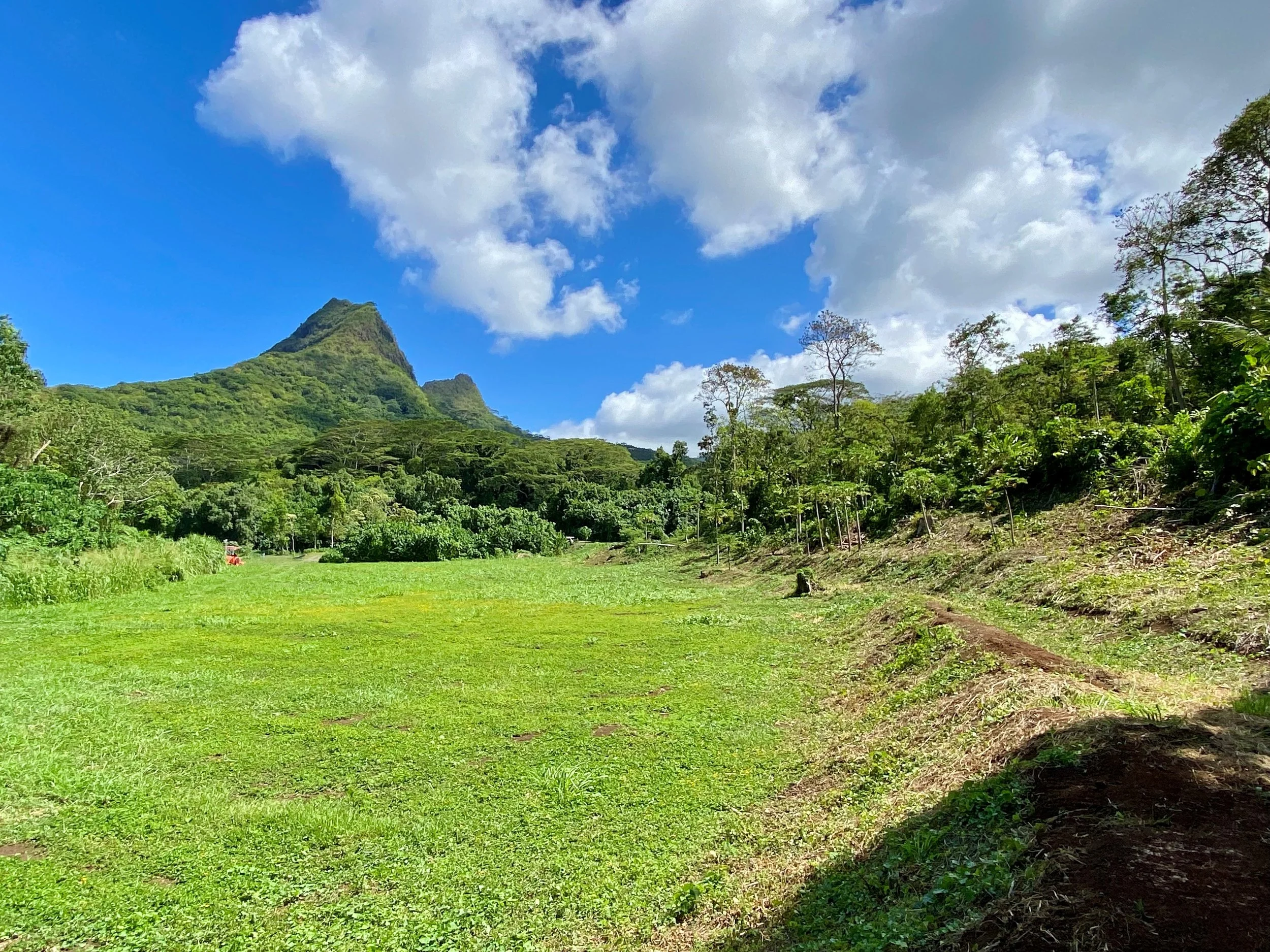 HAWAII NEWS NOW: Help preserve the native habitat, cultural legacy of Maunawili Valley