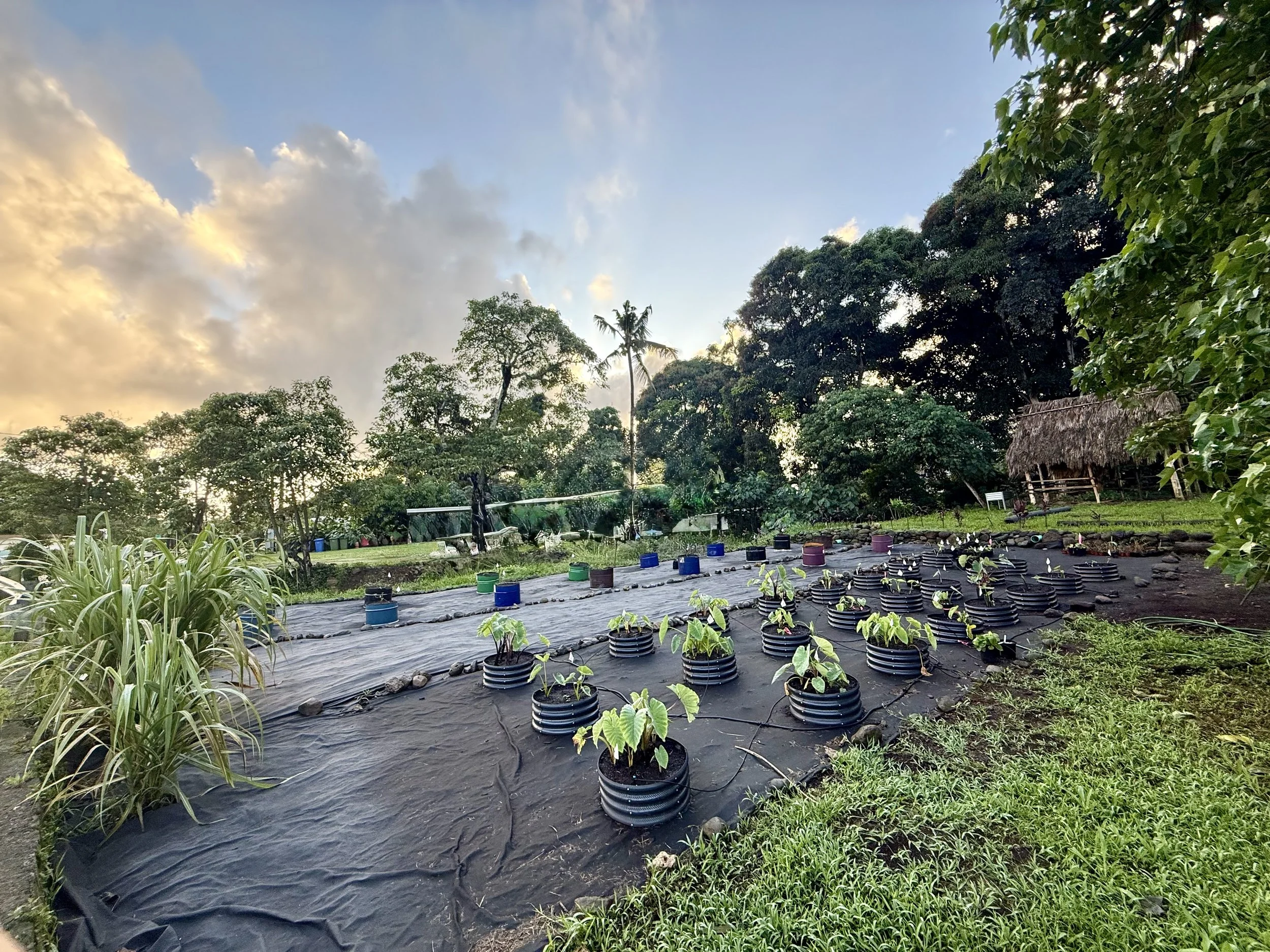 KHON2: $450K awarded to community-based, conservation programs across the islands