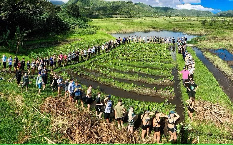 HONOLULU STAR-ADVERTISER: Maunawili gets protection it deserves