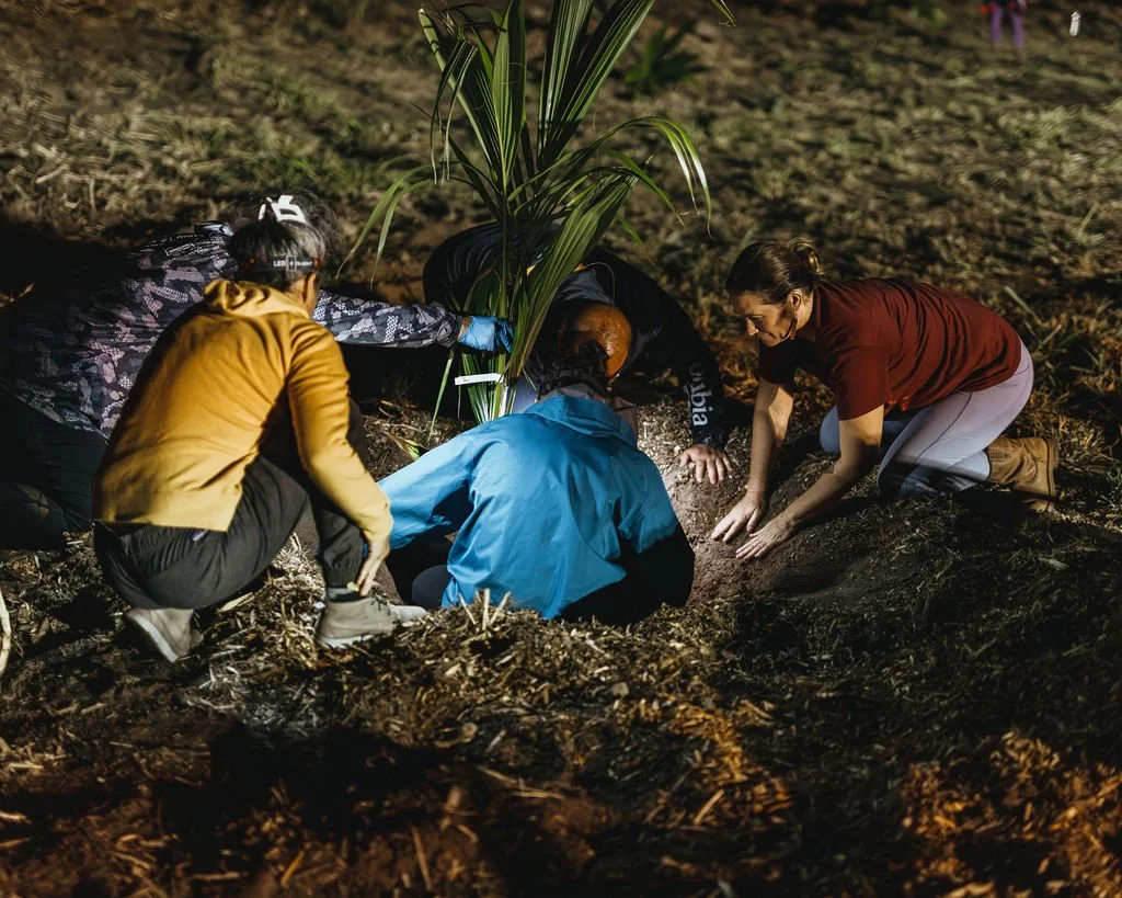 KA WAI OLA: The First Coconut Grove Planted on Maui in Over 100 Years