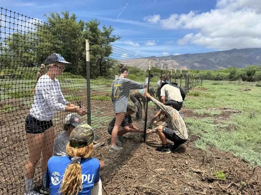 MAUI NOW: Registration open for sixth year of&nbsp;Ahupua‘a Stewards Program on Maui