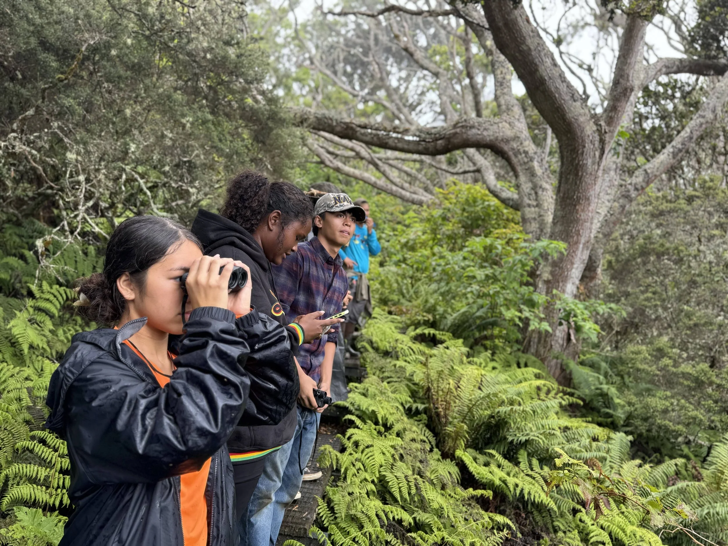 Roots of Resilience: How One Maui Student is Reimagining Wildfire Defense