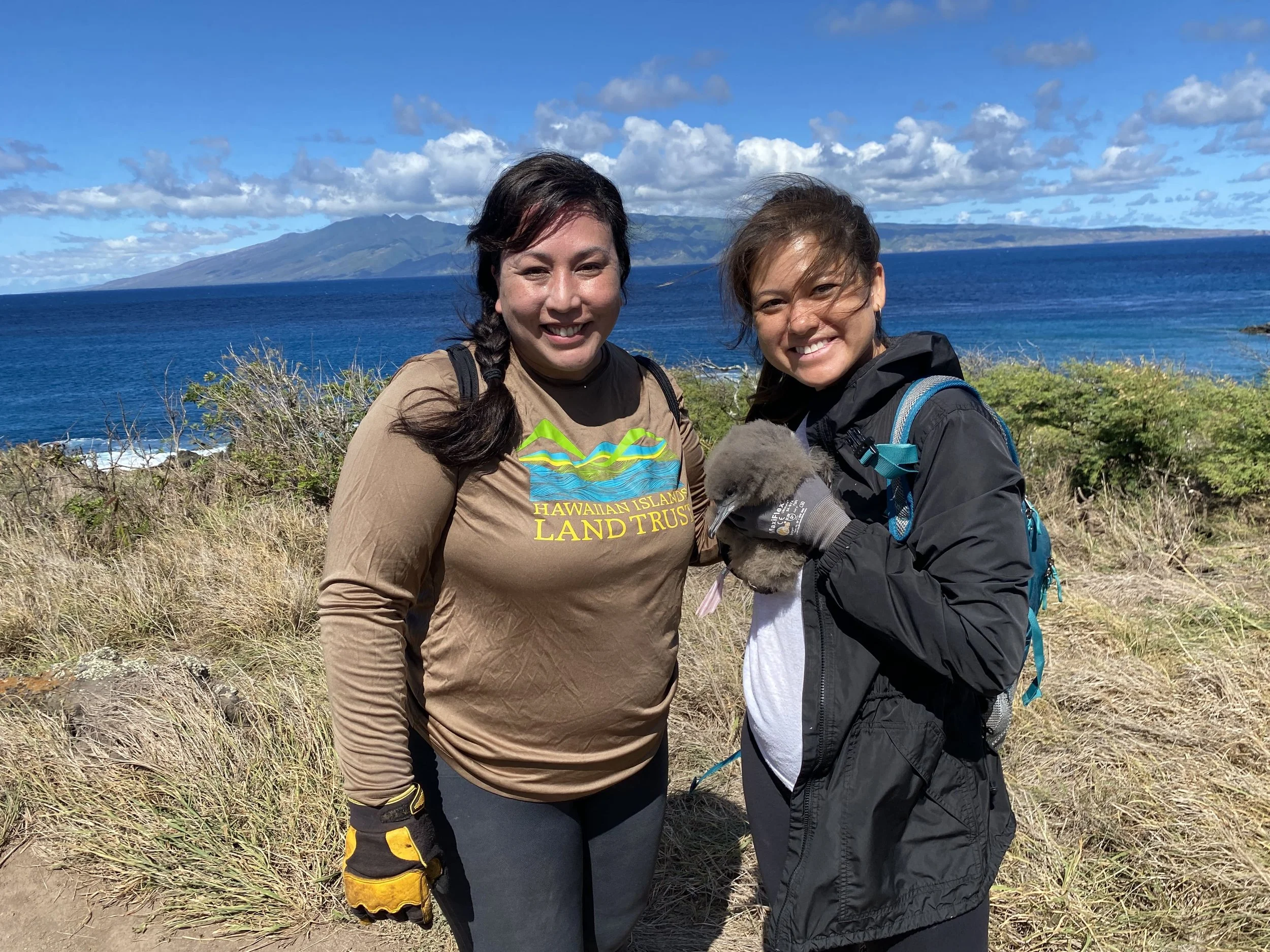 In the Field With Fluffballs — Hawaiʻi Land Trust
