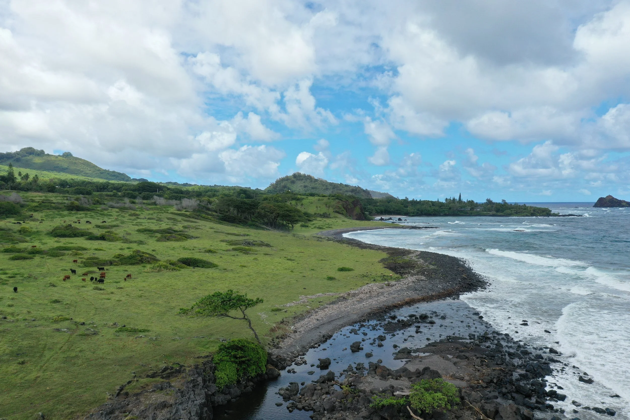 20200924-123341-354-pu0-default (1).JPG