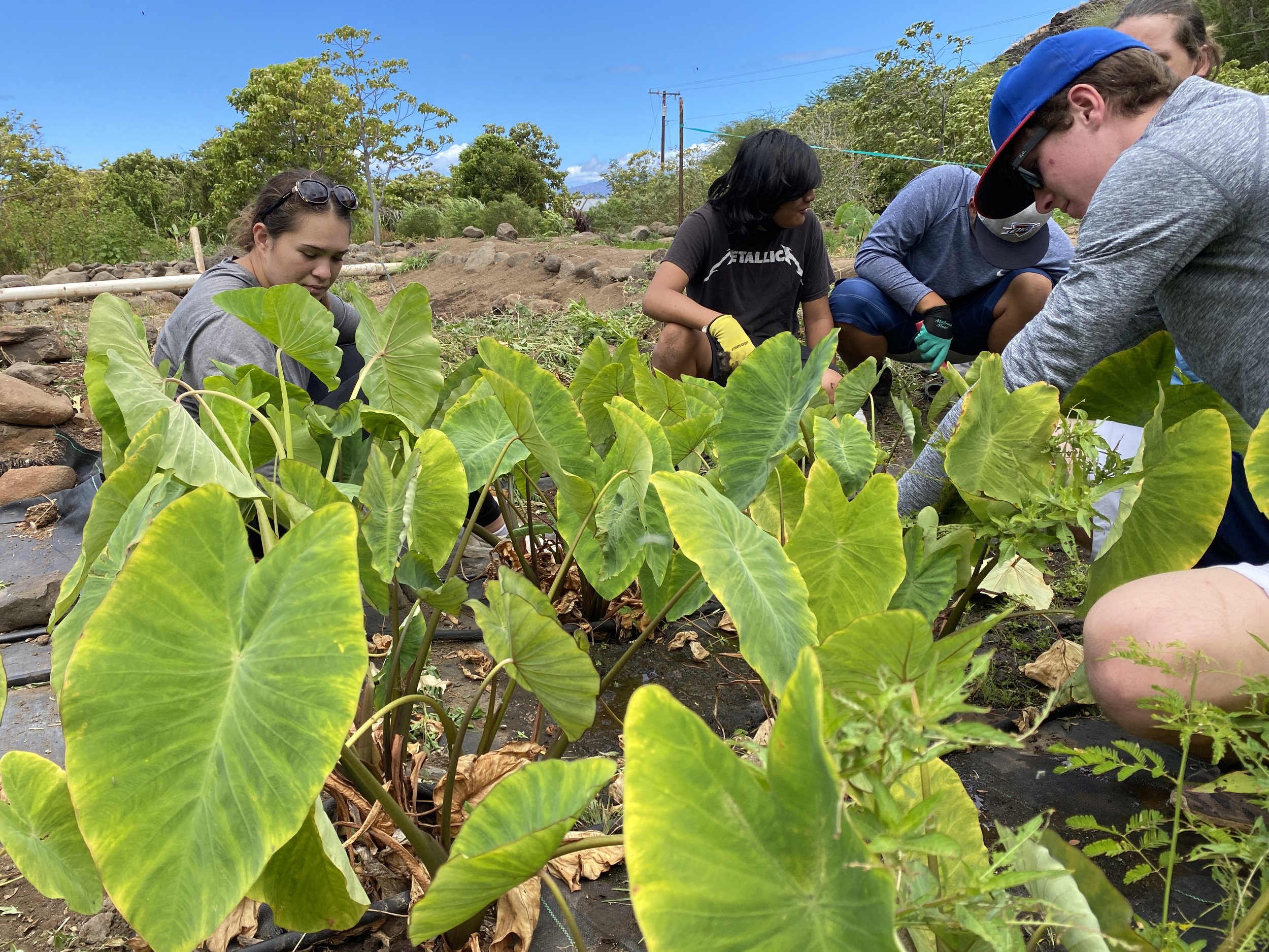 Ahupuaa Stewards Leadership Program — Hawaiʻi Land Trust