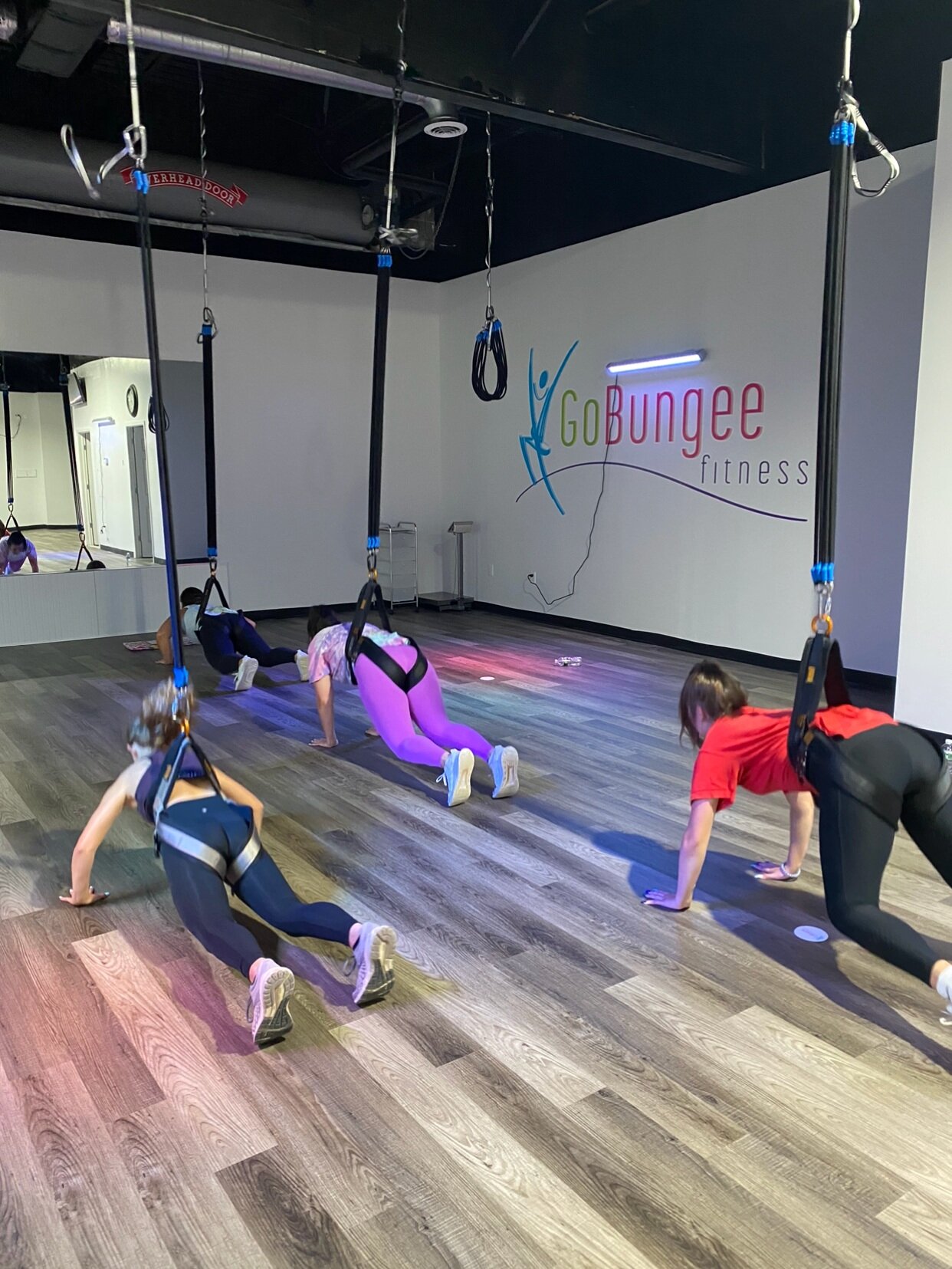Classes — GoBungee Fitness
