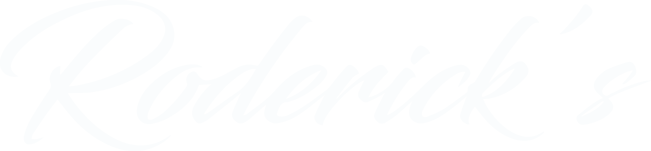 berrylook logo