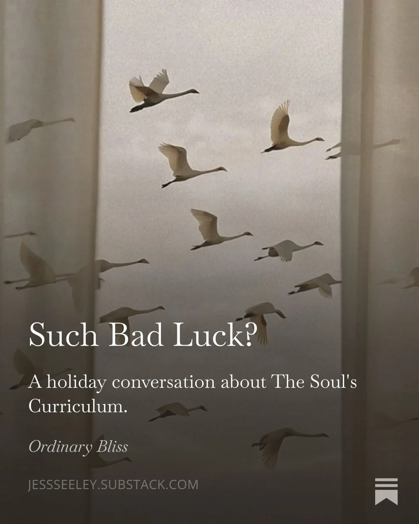 I&rsquo;ve written a new Substack piece about the Soul&rsquo;s curriculum, the essence of my work as a healer. You can read it now- link in the bio.