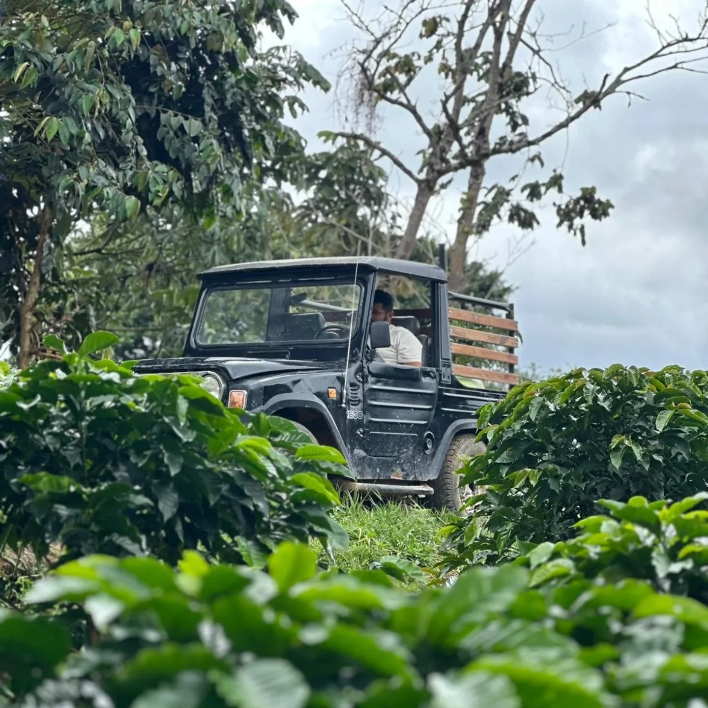 We&rsquo;re off to Colombia! 🇨🇴

From Monday 28 July to Sunday 10 August, the Six of One roastery will be temporarily closed as we take an exciting trip to Colombia to visit the incredible micro-lot coffee farmers we&rsquo;re proud to work with. Th