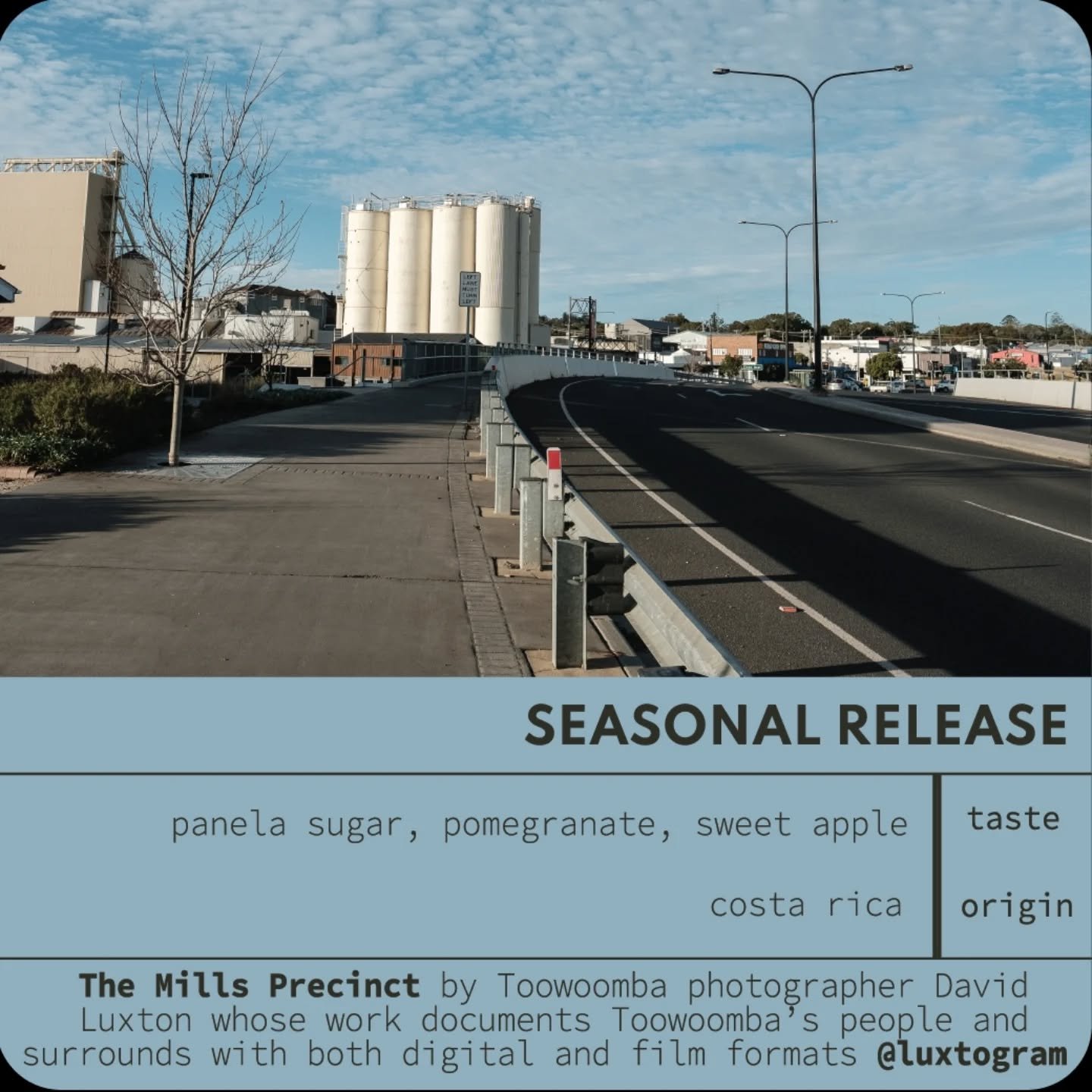 Hi folks - good news, we have very, very limited amounts of two of our previous, very popular seasonal releases. Colombia Red Bourbon - from the micro-lot farm of Rodolfo Rodriguez, high in the mountains in Guacacallo Colombia, this highly sought aft