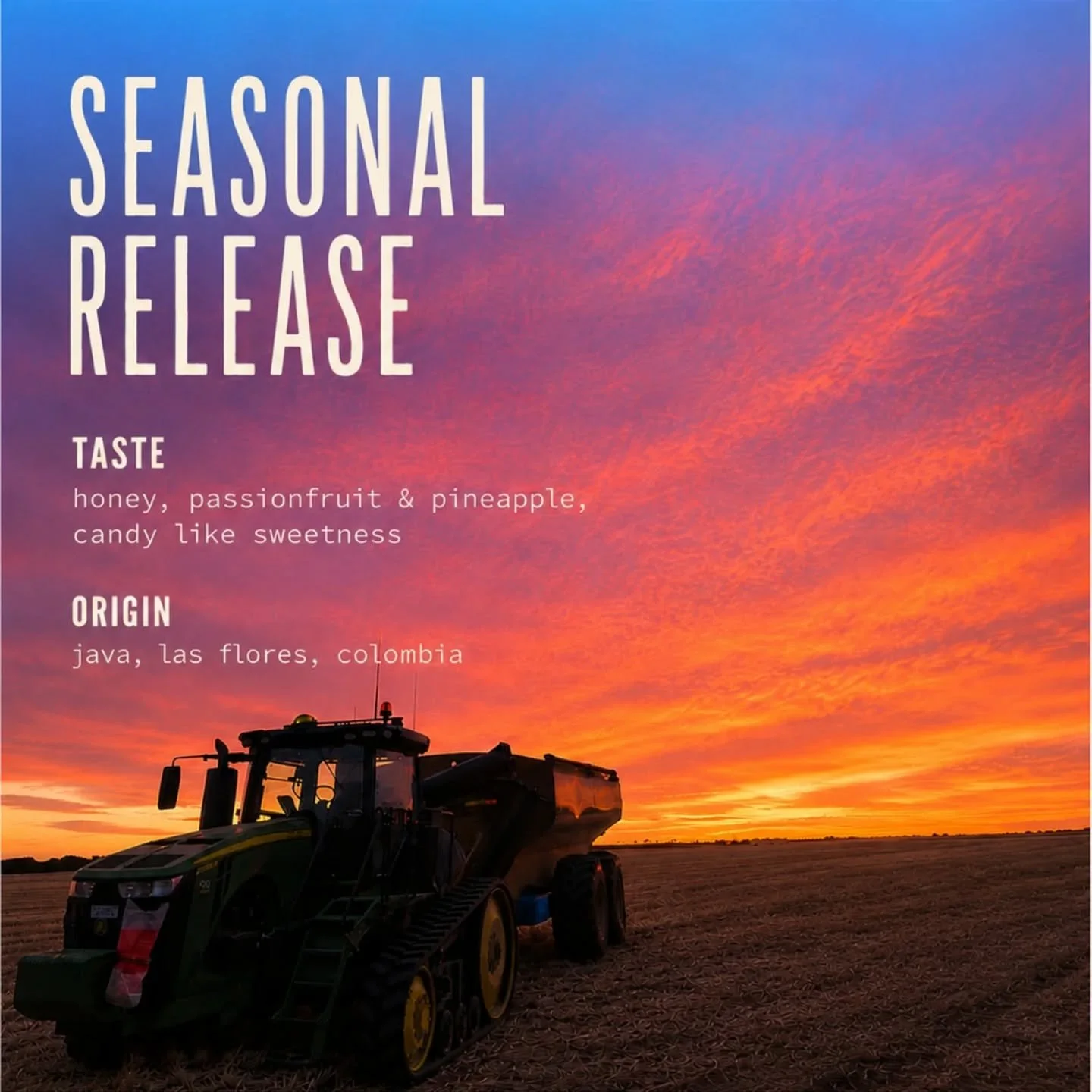 Hi folks. Our most exclusive seasonal release yet! Produced by the legendary Las Flores farm, Colombia. Their coffees are regularly featured on the world competition stage and are highly sought after, but basically impossible to get hold of. But we d