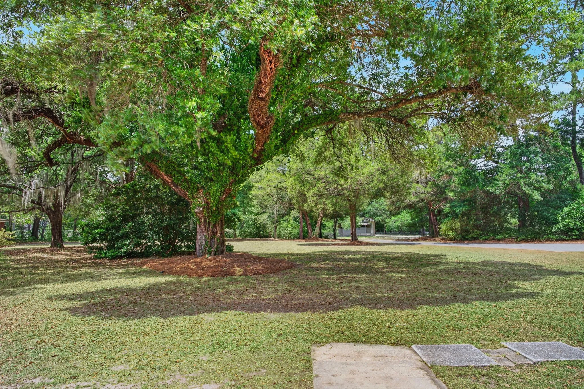 9-web-or-mls-RP204574.jpg