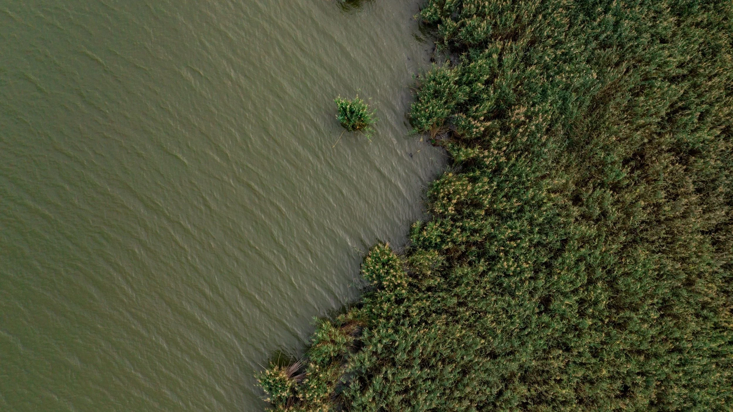Sian Ka'an Biosphere Reserve