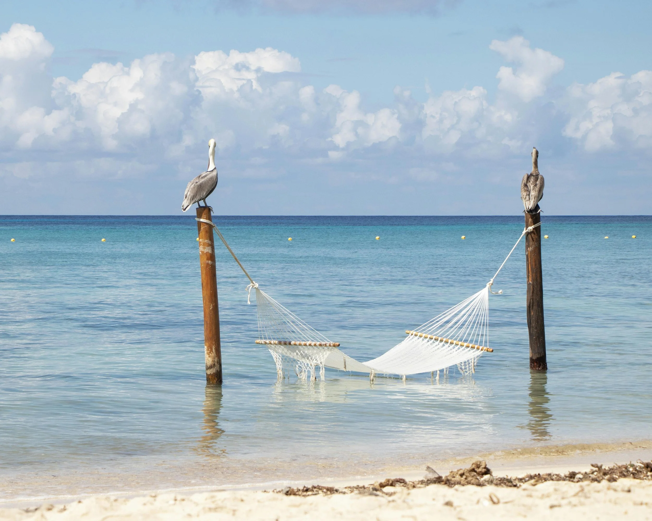 The Best Caribbean Islands to Visit from Tulum This Summer