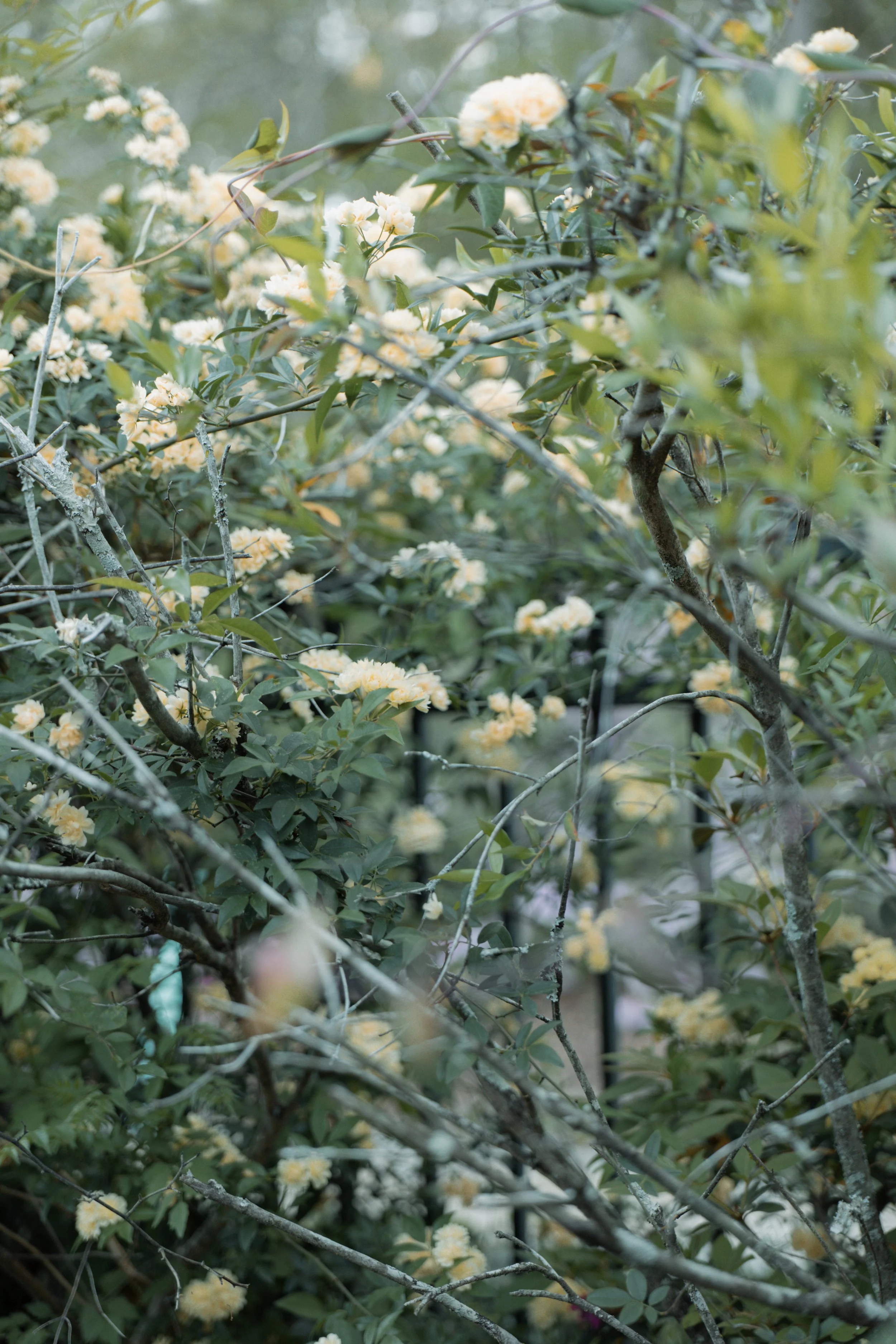 LBP_-0983.jpg