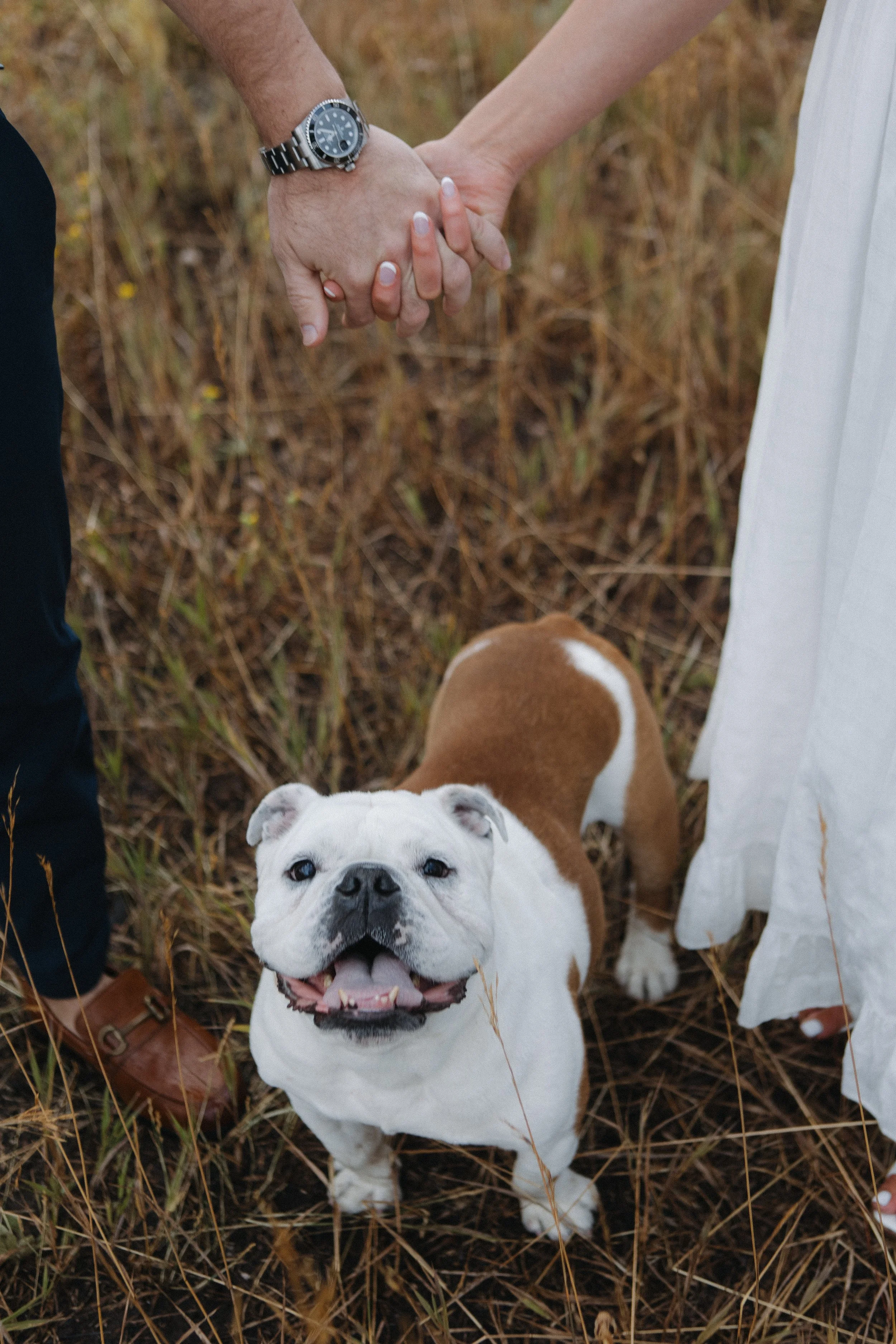 Happy dog posing with engaged couple during outdoor session at Mount Falcon West, Colorado