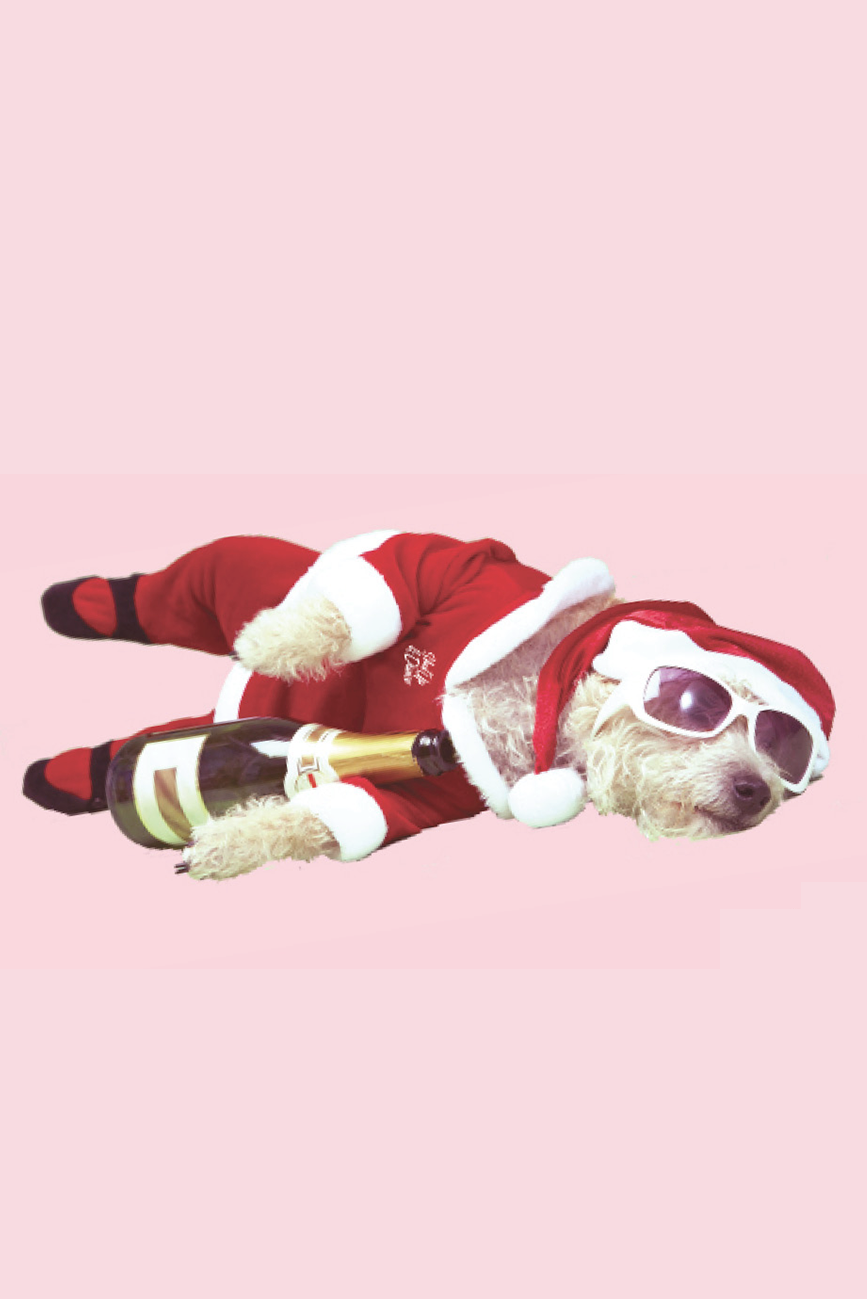 Four bloody good experiences to gift in Wellington this Christmas