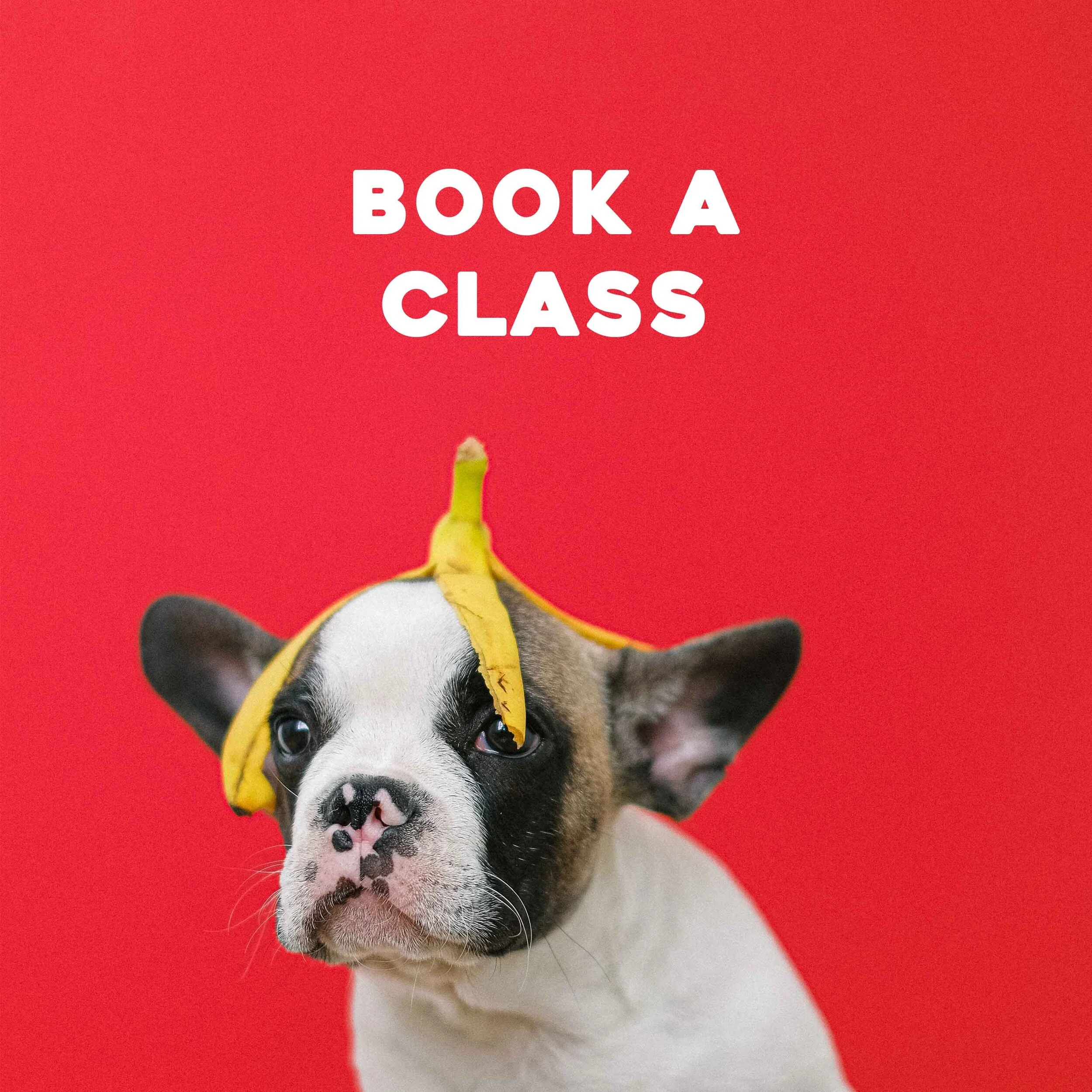 Book a class