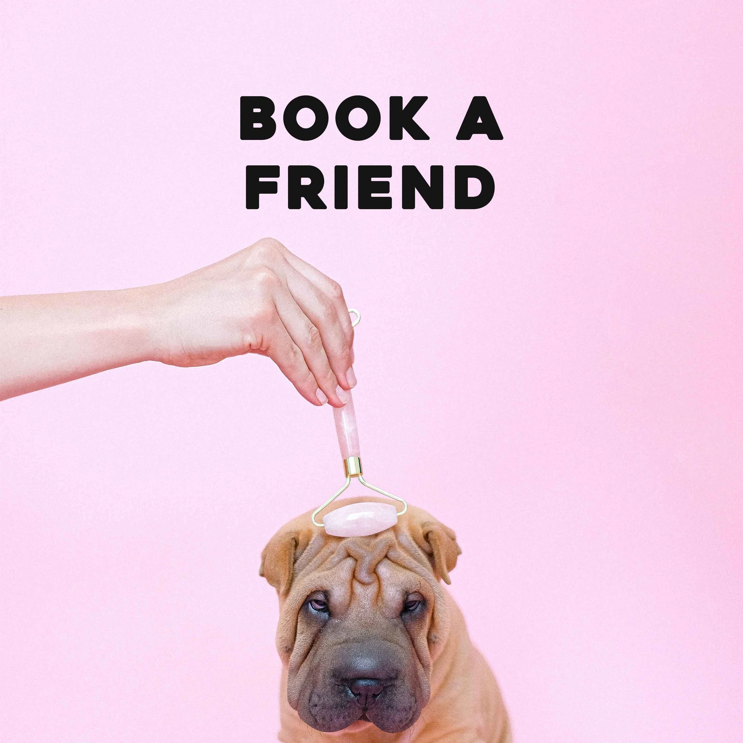 Book for a friend