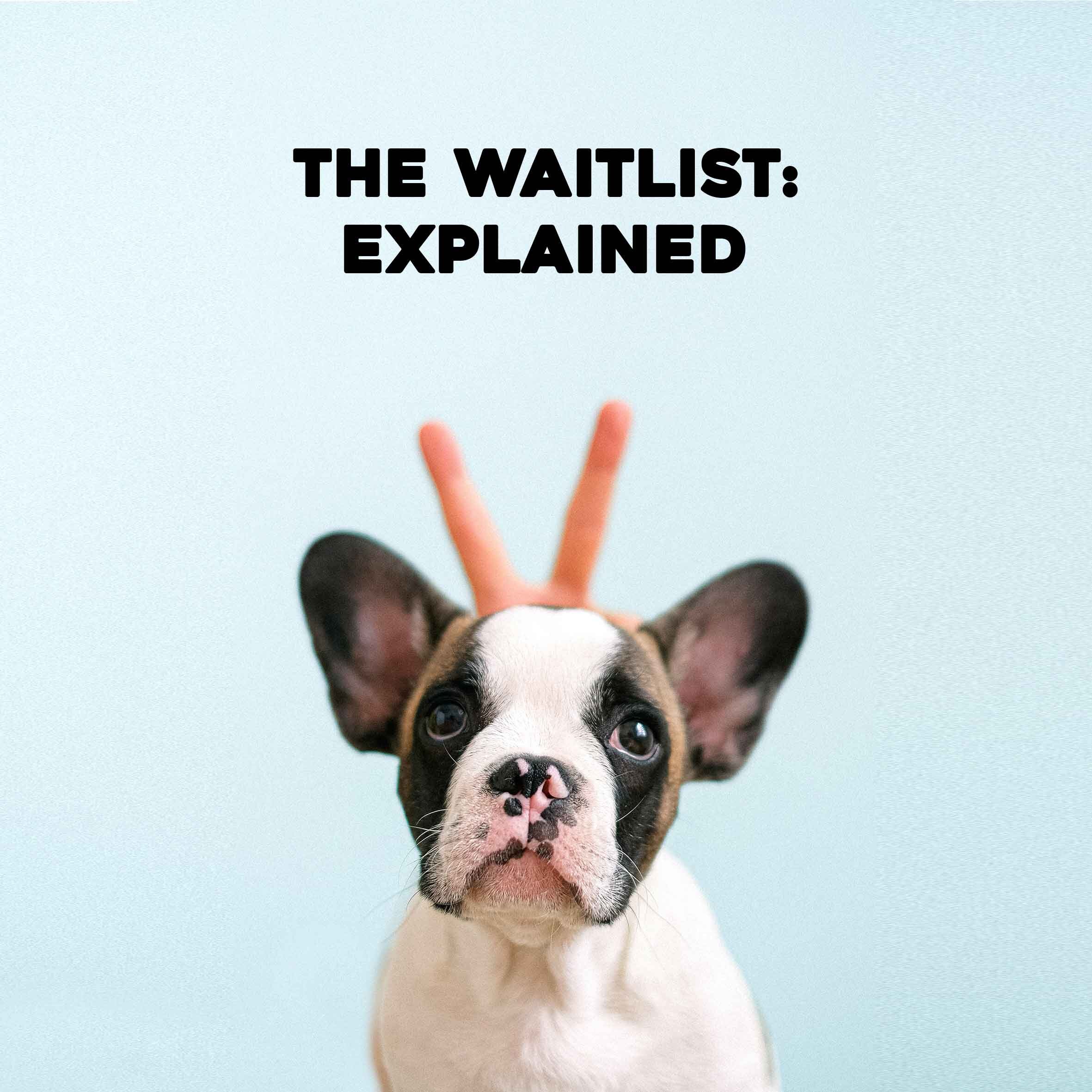 The Waitlist: Explained
