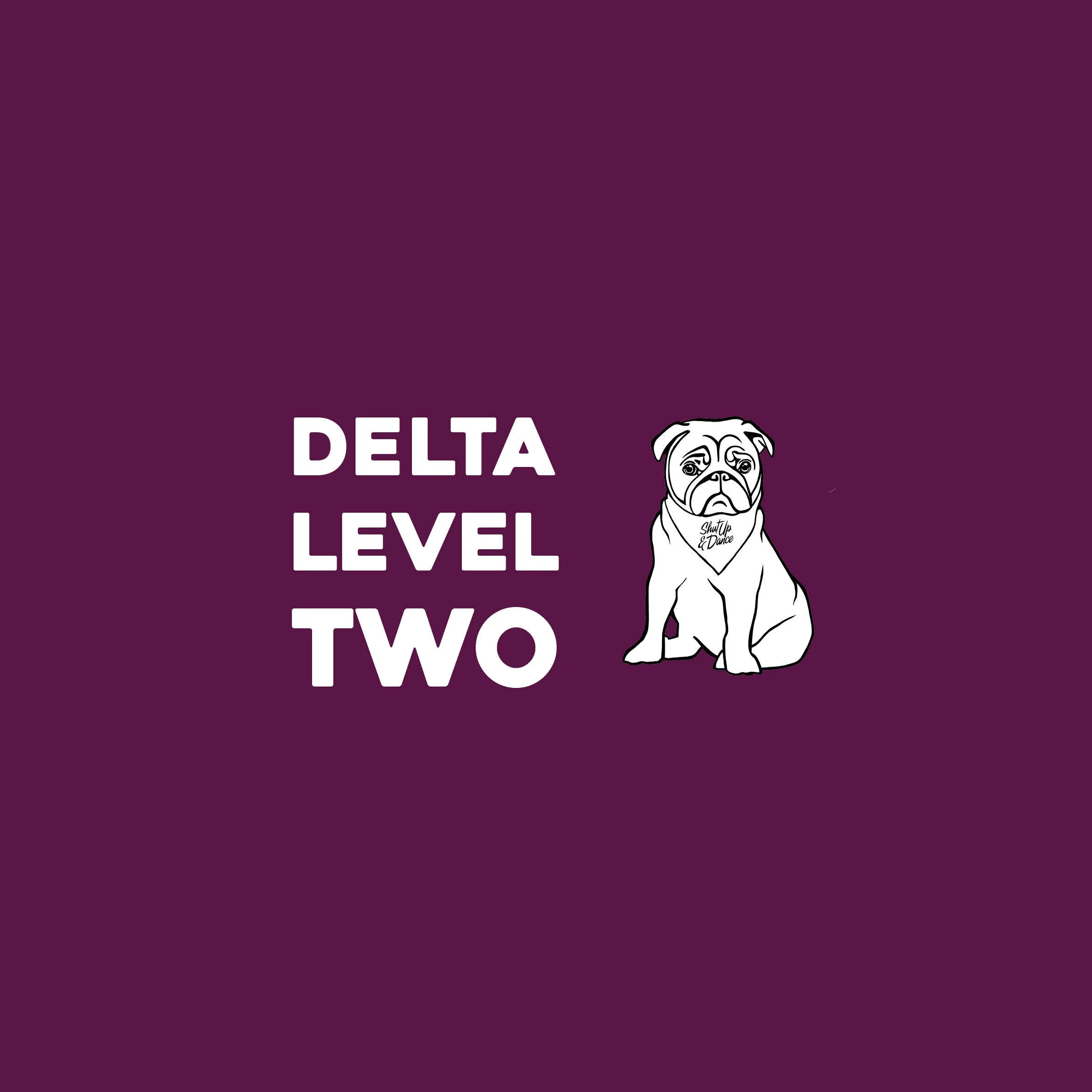 Delta Level 2 Policy &amp; Procedures