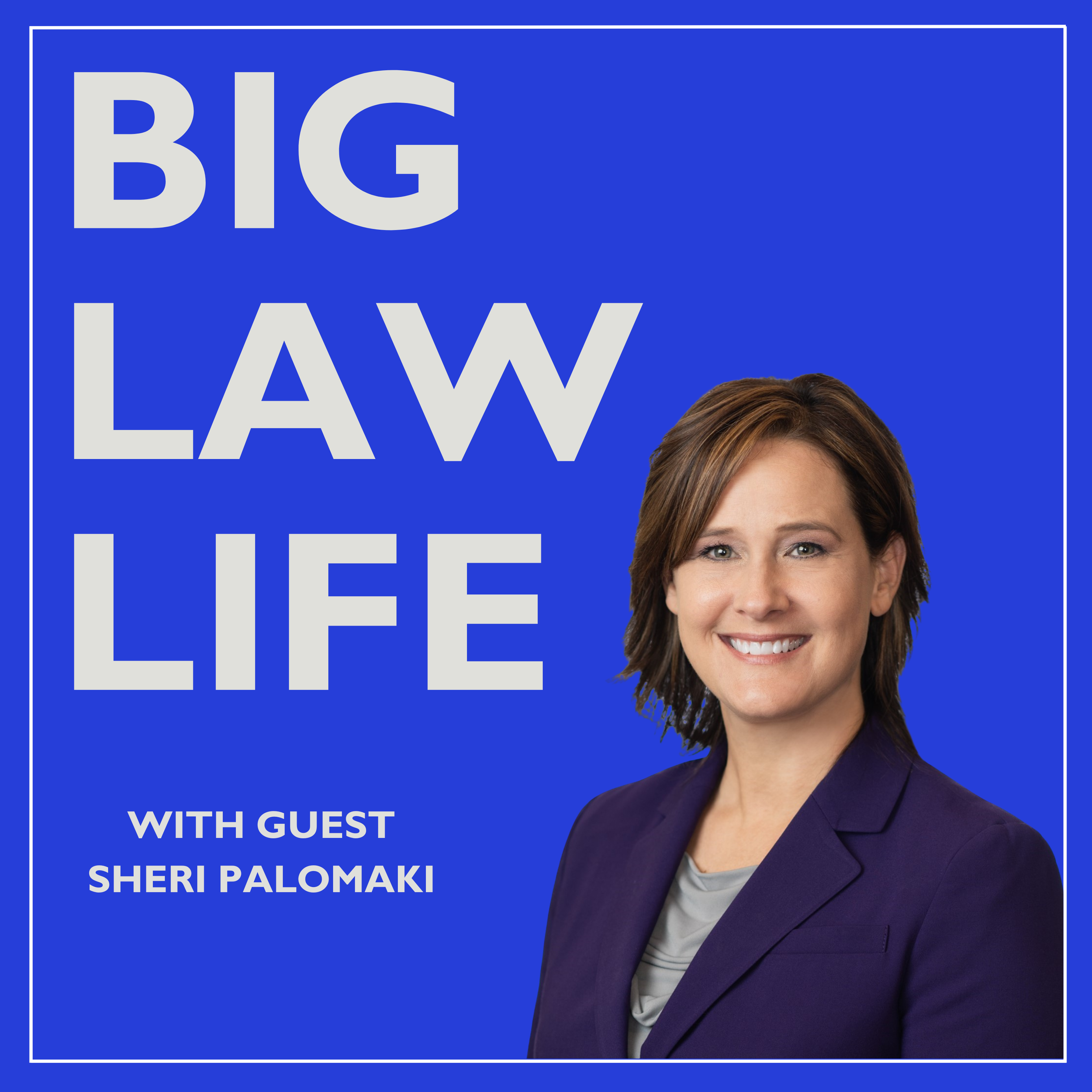 #88: How Strategic Planning Can Help BigLaw Attorneys Succeed In Their Firms - With Sheri Palomaki