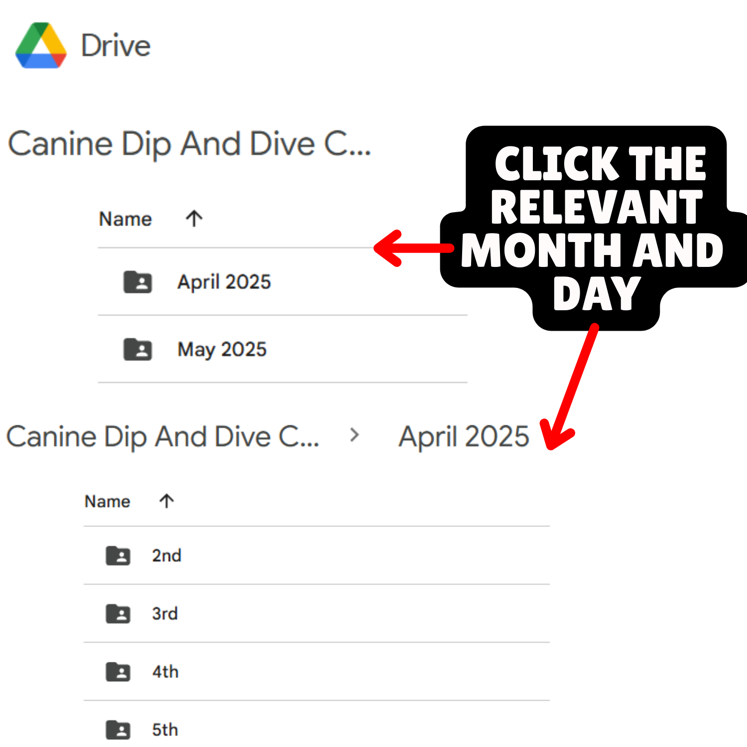 Screenshot of a Google Drive folder titled 'Canine Dip And Dive C...' with subfolders labeled April 2025 and May 2025. An annotation with a red arrow points to the date 'April 2025' and a black speech bubble instructs to click the relevant month and day.