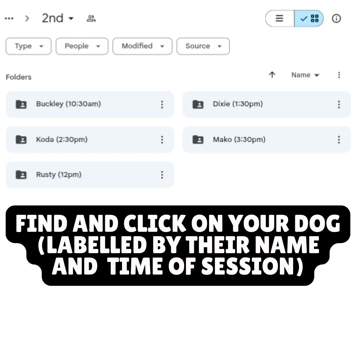 A digital task list showing dog names with scheduled session times, accompanied by a text overlay that reads, 'Find and click on your dog (labelled by their name and time of session).'