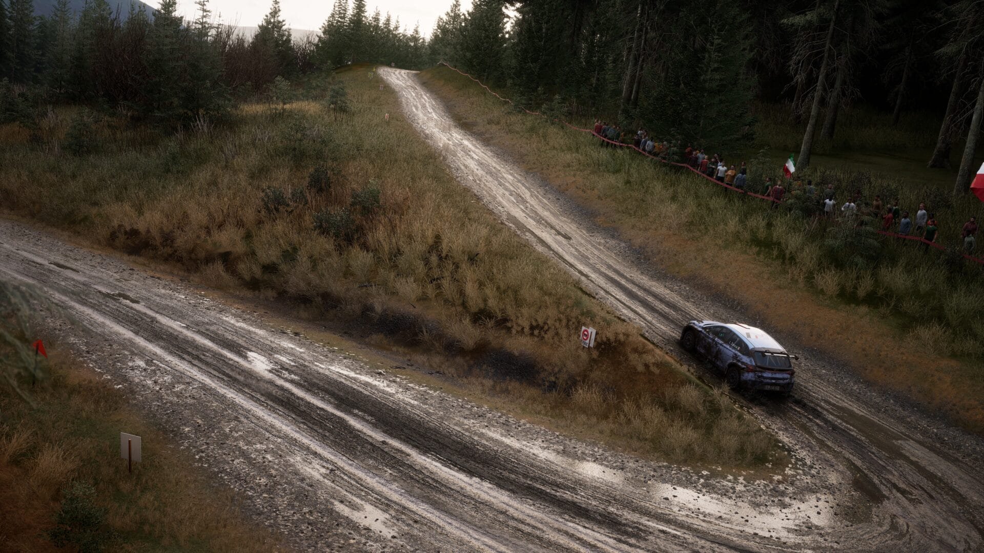 Assetto Corsa Rally