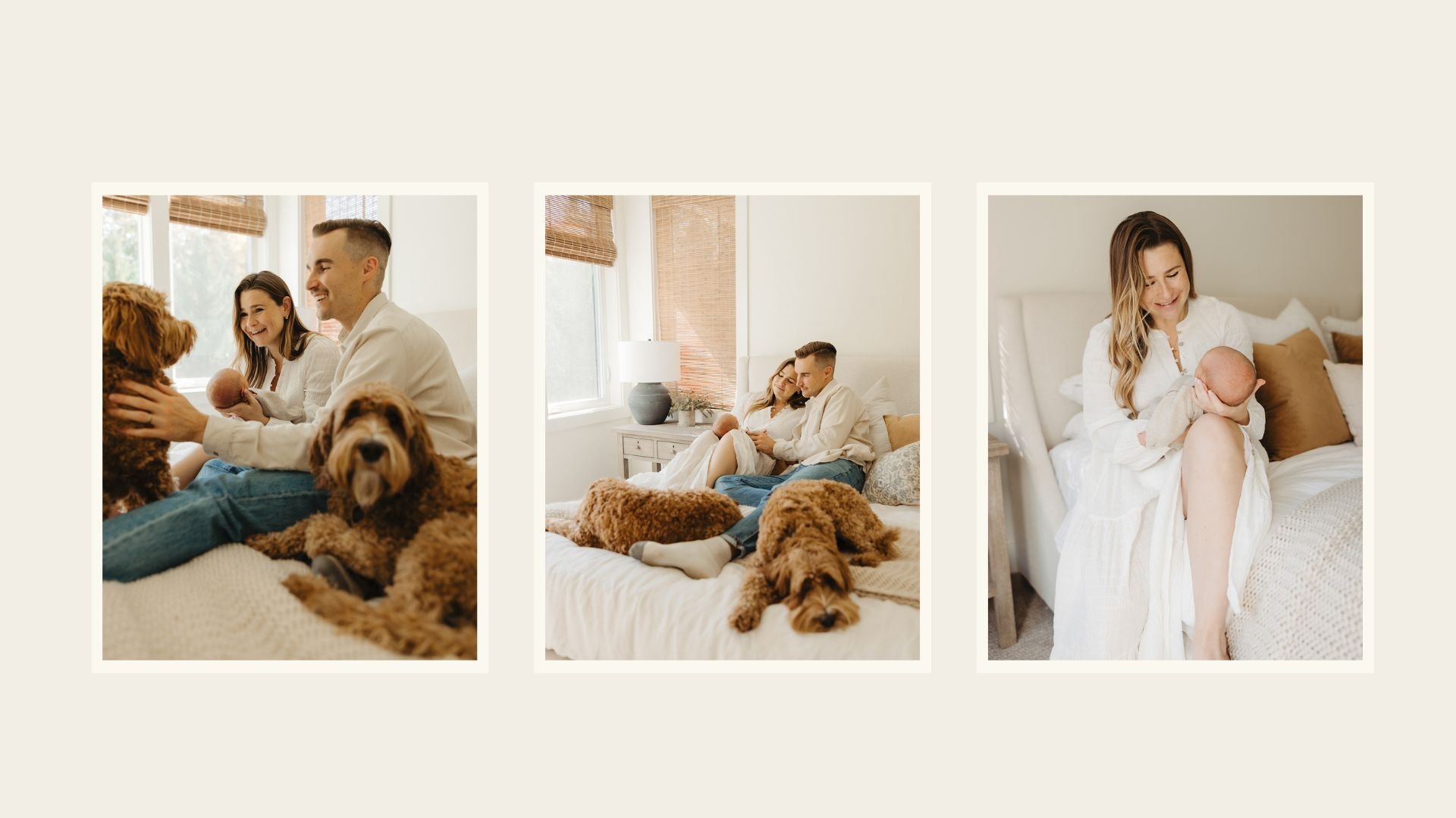 Copy of Untitled.jpg