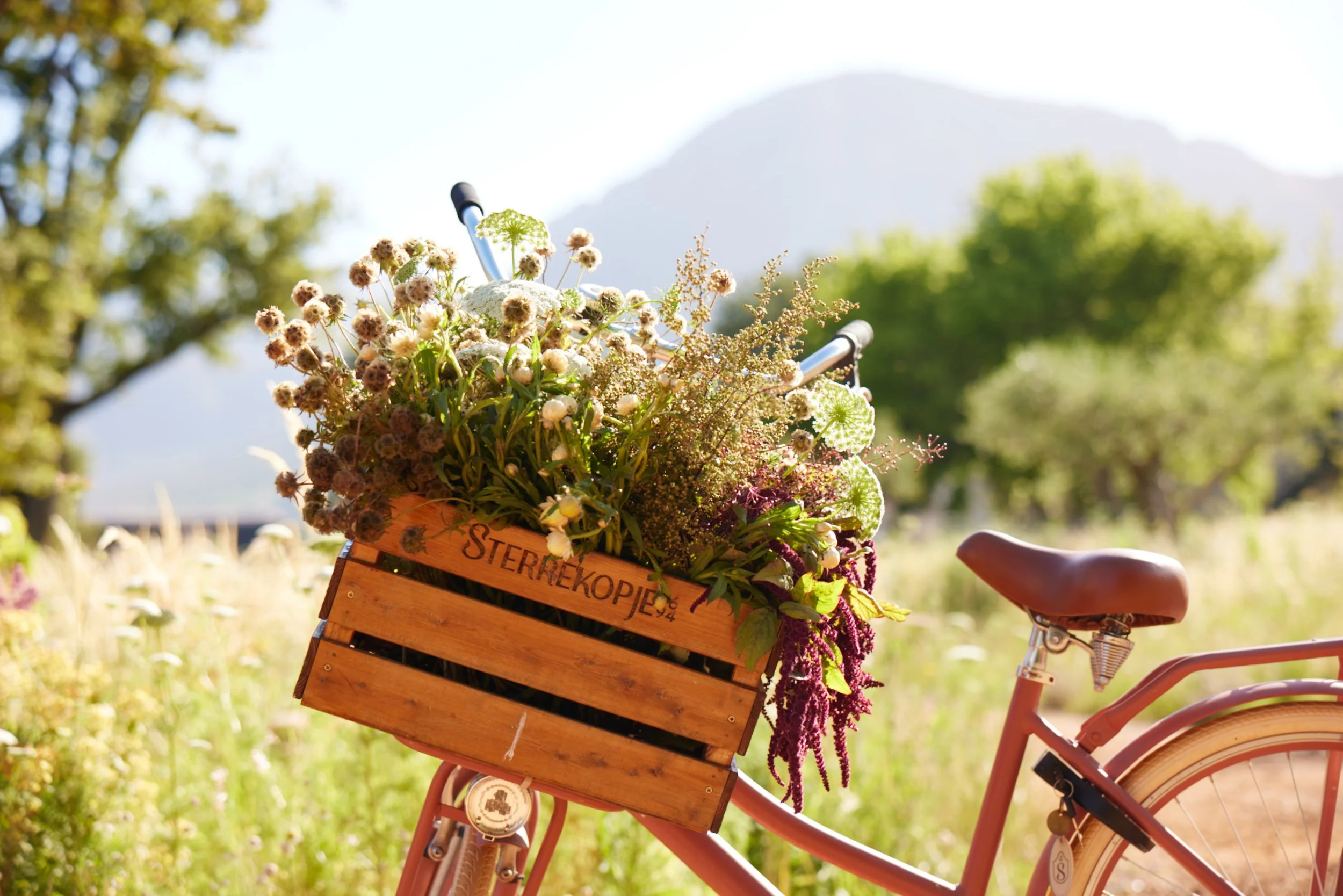 Dutch bicycle - Inge Prins.jpg