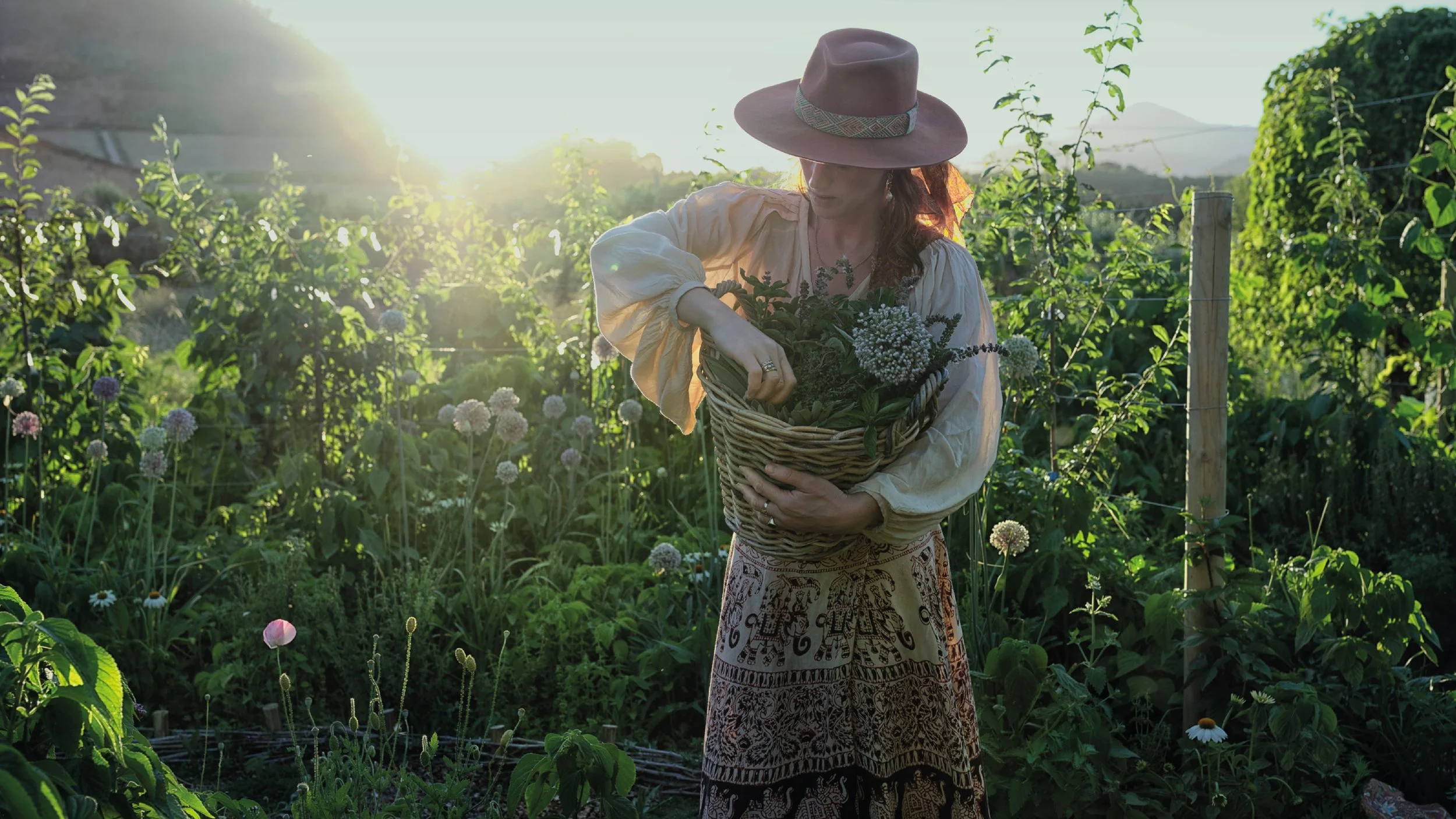 Herb garden - Hannelore Vandenbusche.jpg