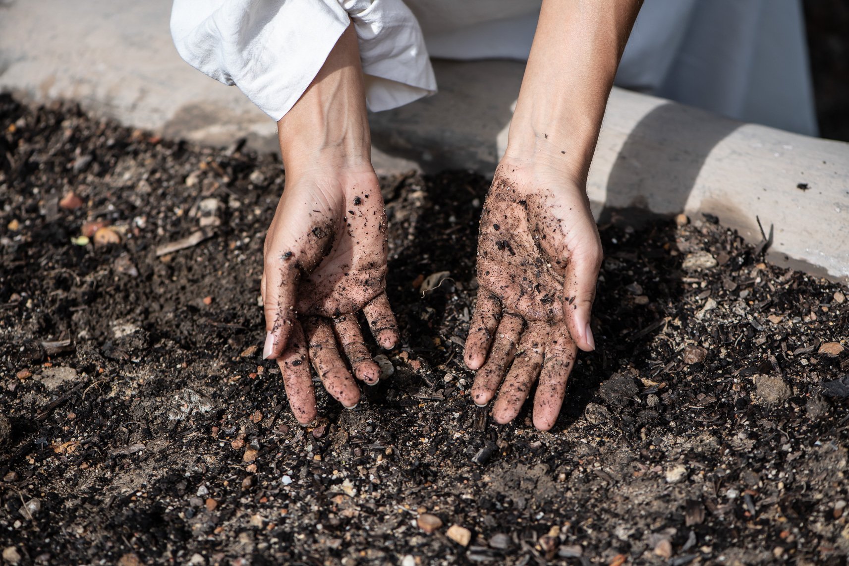 Hands in soil - Adel Ferreira.jpg