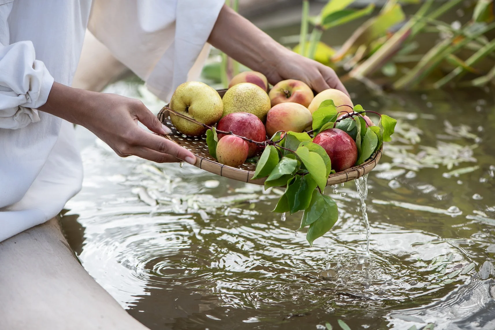 Orchard harvest - Adel Ferreira_.jpg
