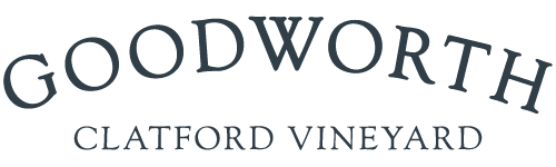 Goodworth Clatford Vineyard